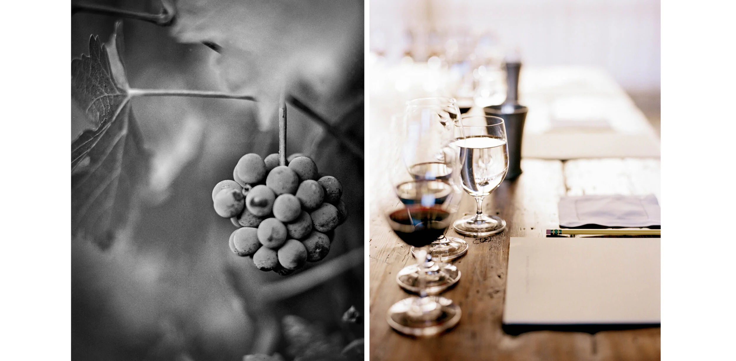 2019_WebLayout_Food_NapaValleyReserve8.jpg