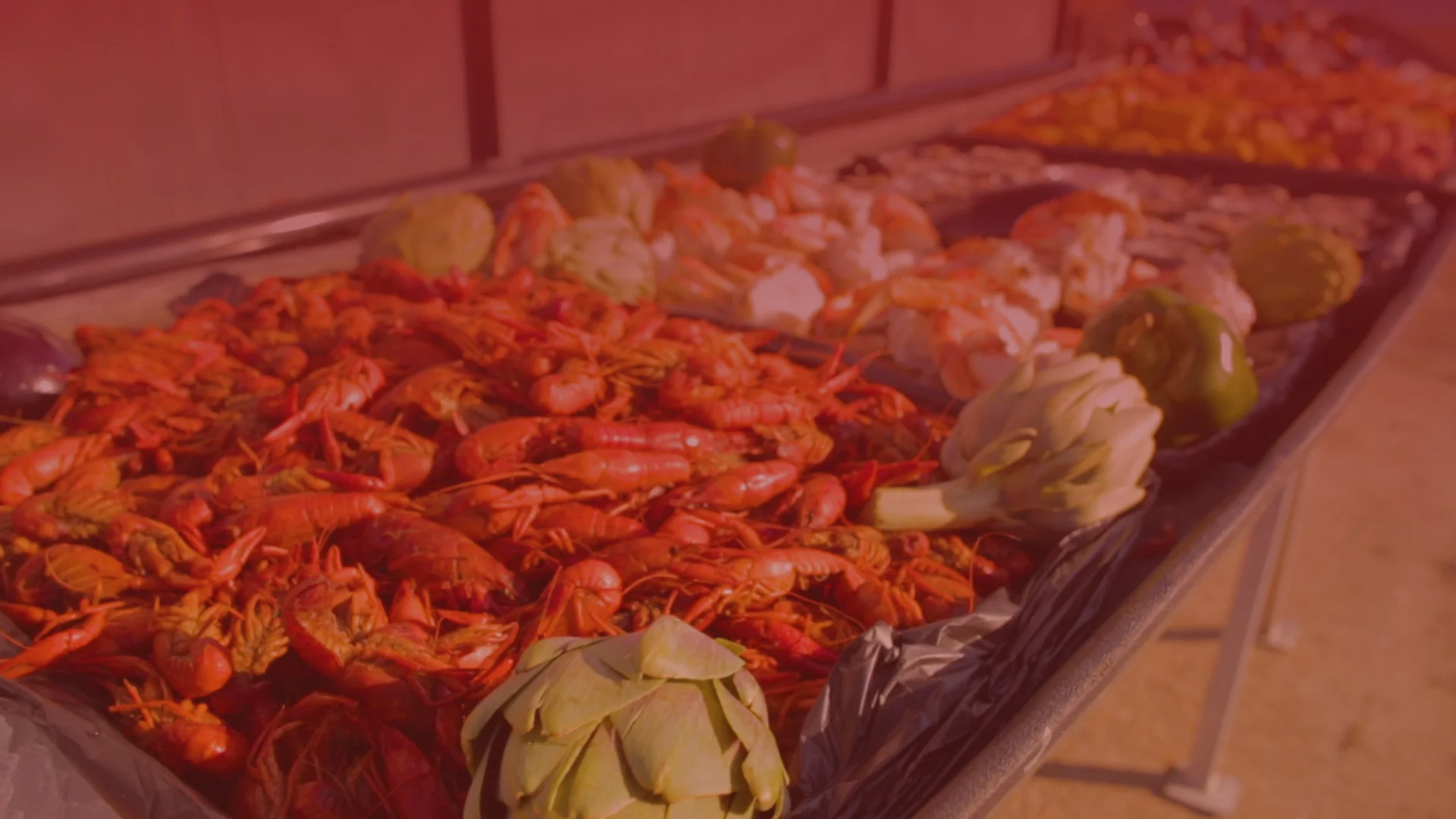 crawfish image0 copy.jpg