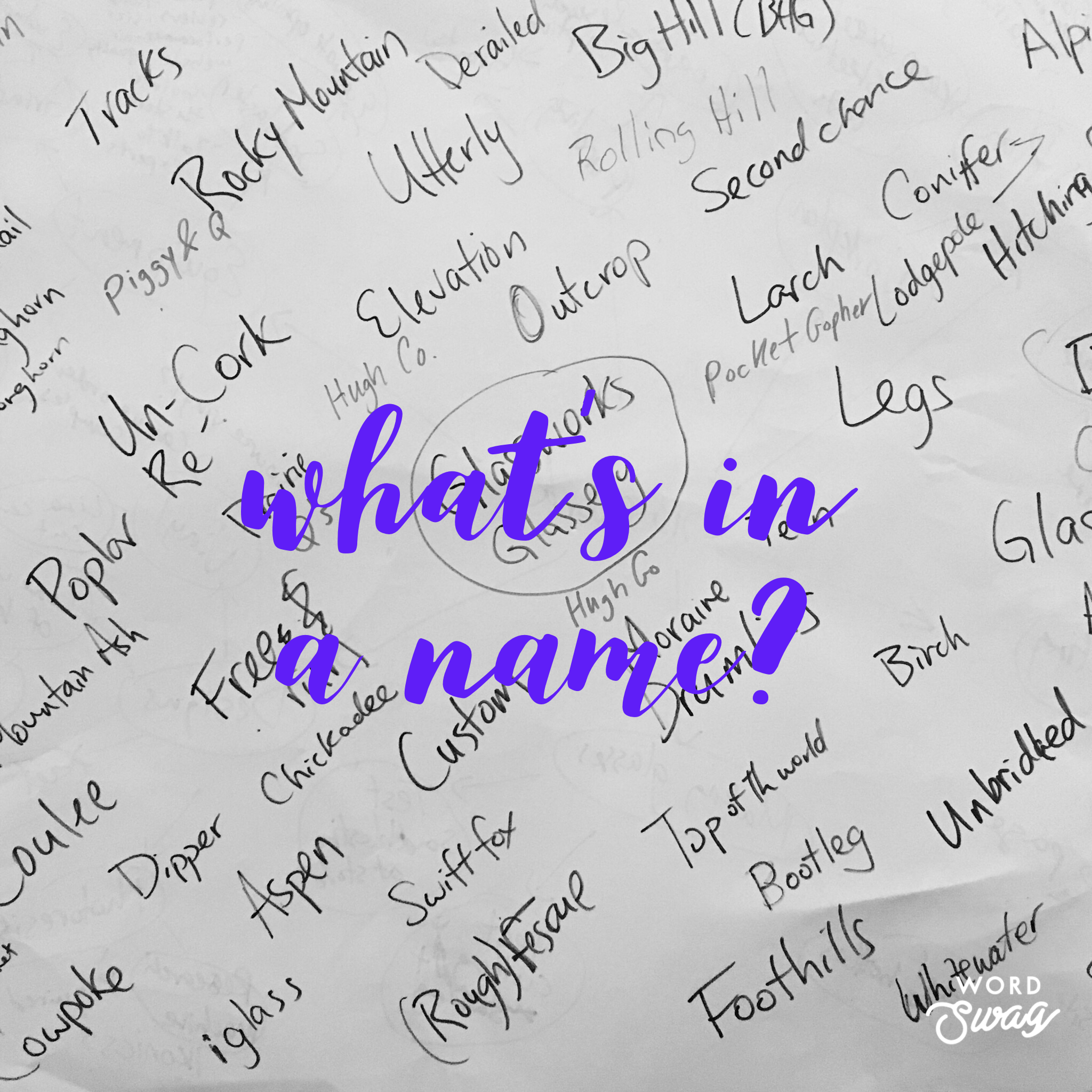 What's the story behind our name?