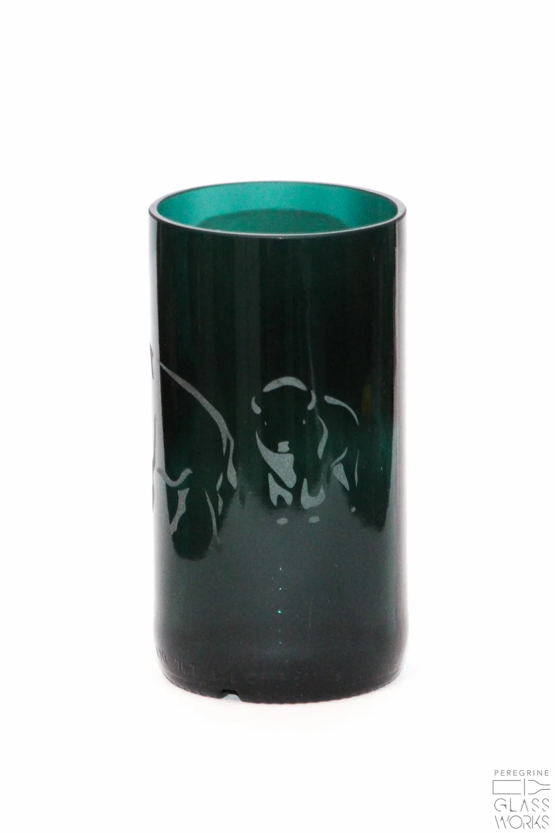 bison-6.jpg