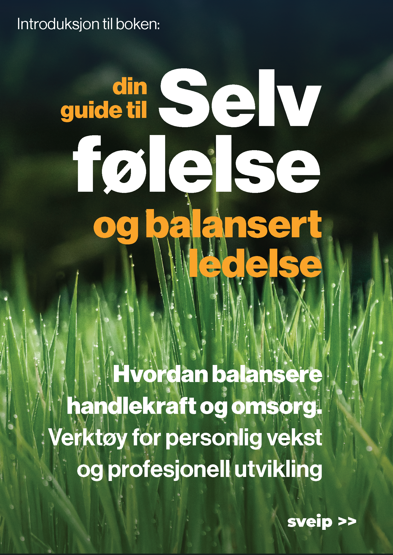 SMI_annar_aasheim_PRESENTASJON_FORSIDE.png