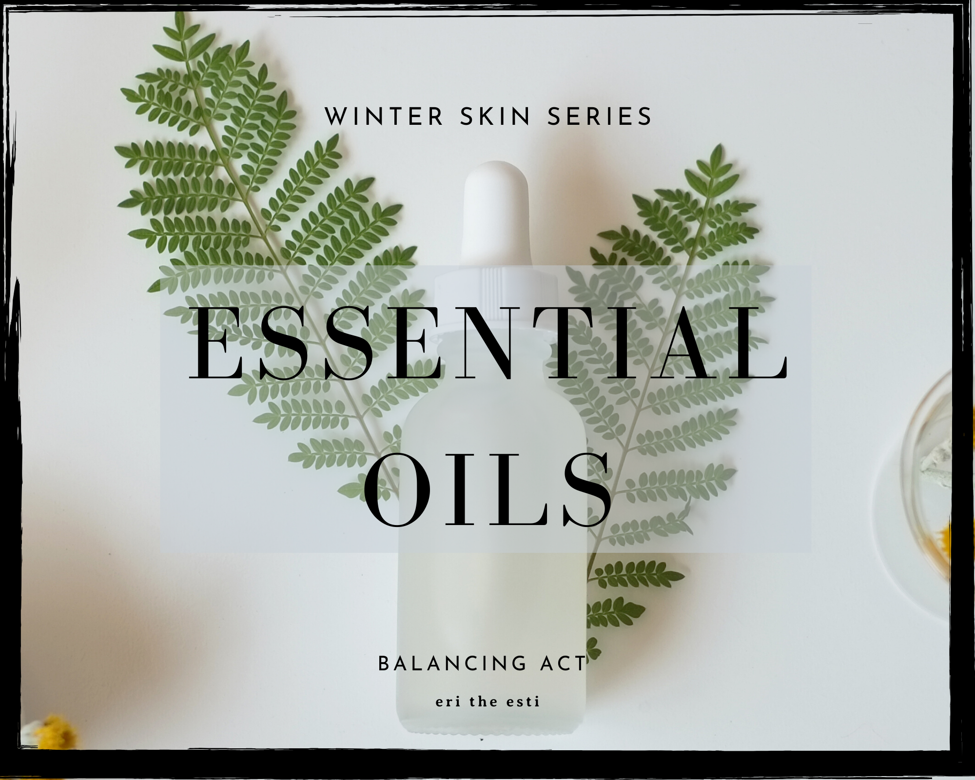 Winter Skin Series: January