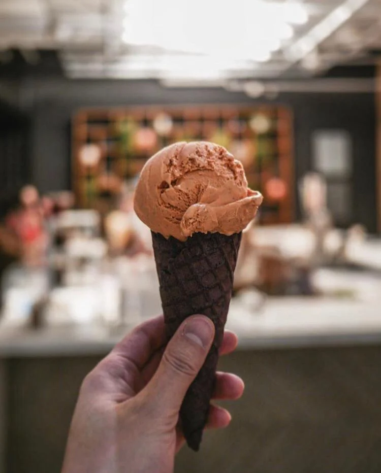 WhatsApp Image 2019-06-09 at 10.57.26 PM.jpeg