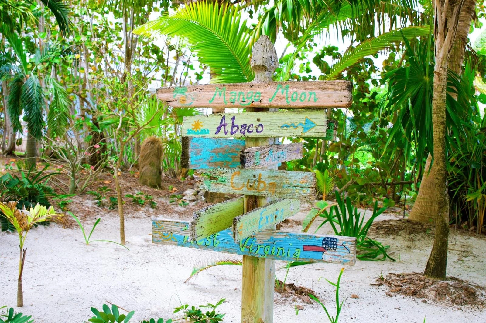 WhatsApp Image 2025-10-09 at 12.56.28_f0d162ba.jpg