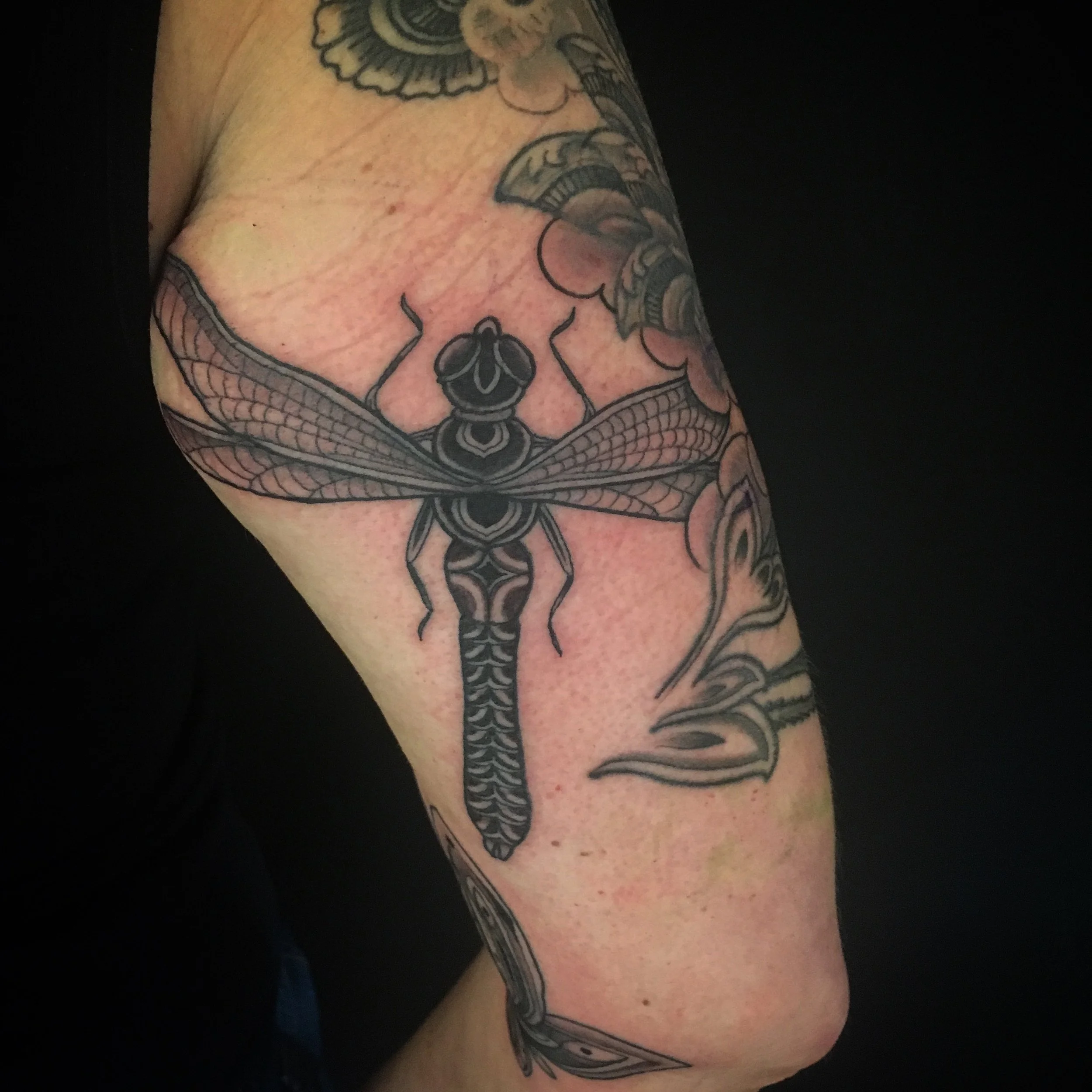 dragon fly 38.JPG