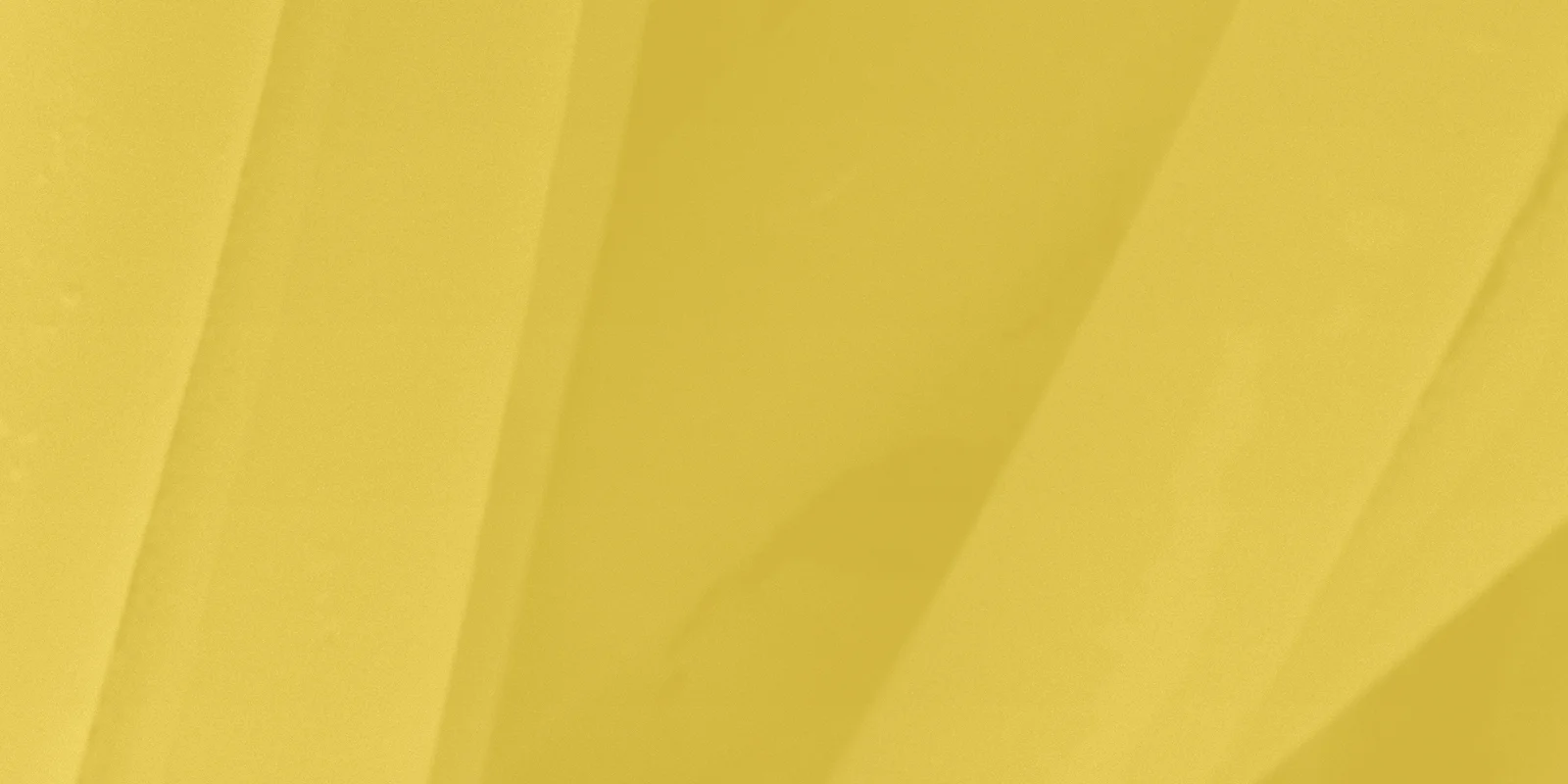 LOOMIA- yellowTexture background.jpg