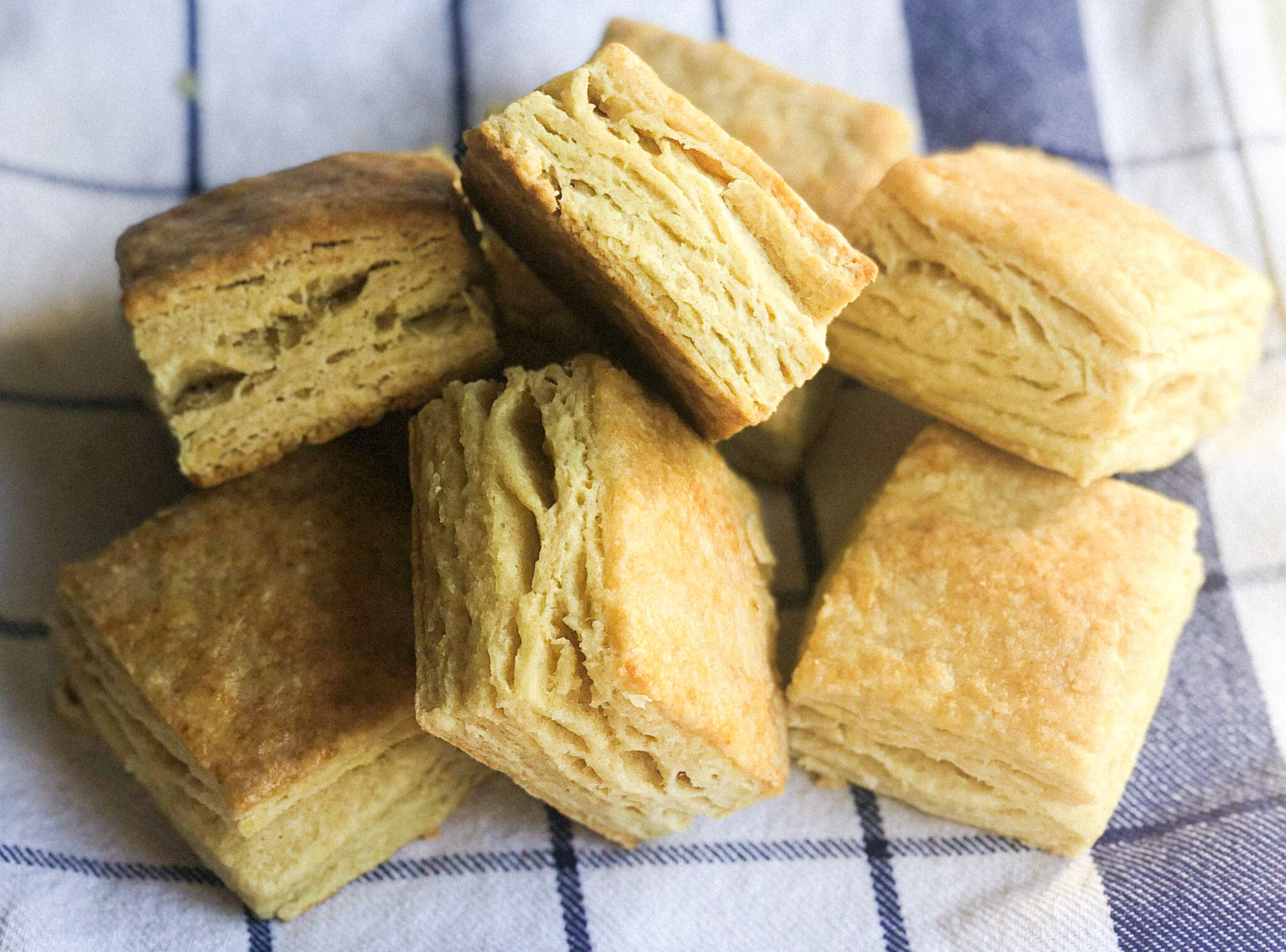 SquareBiscuits.jpeg