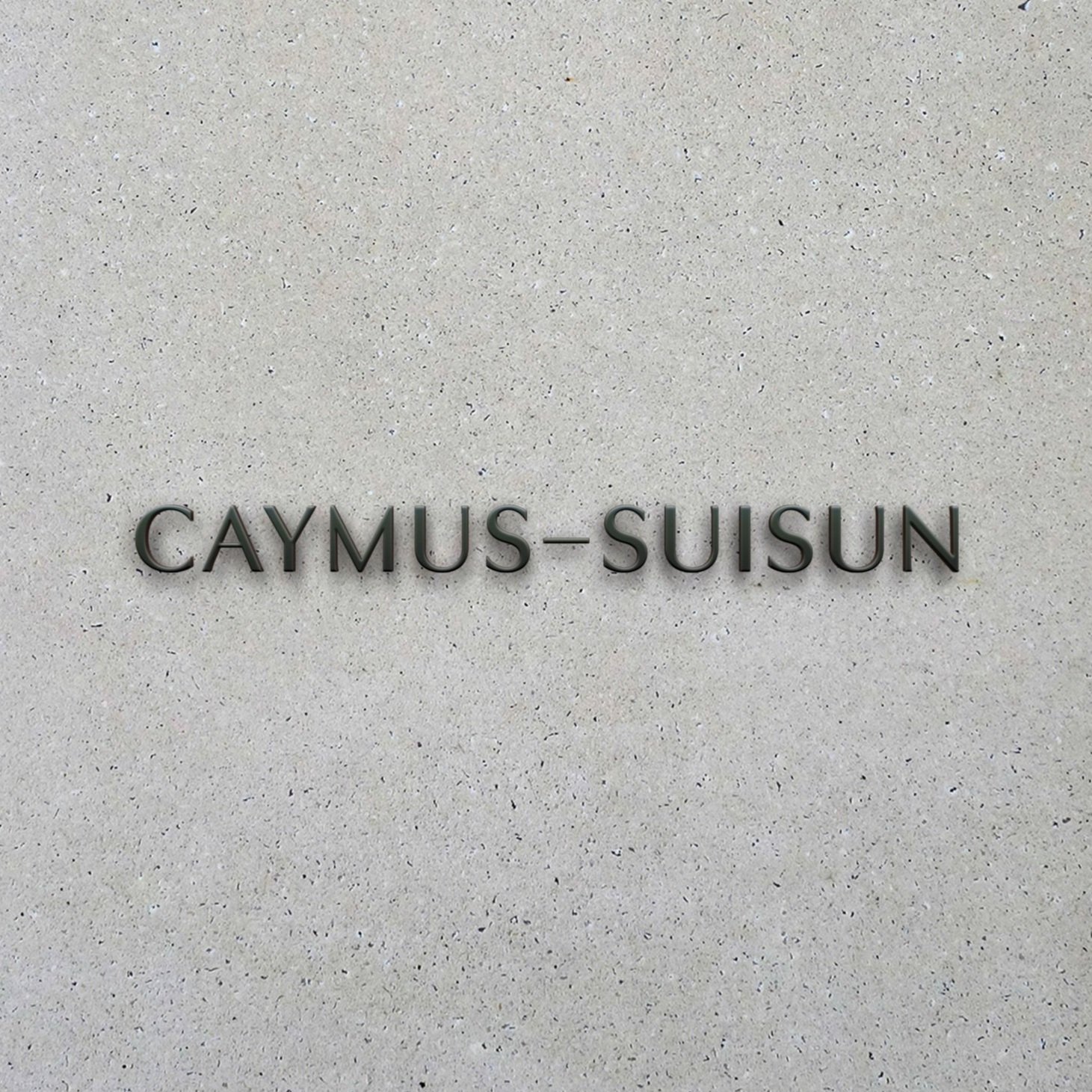 Caymus+Mockup.jpg
