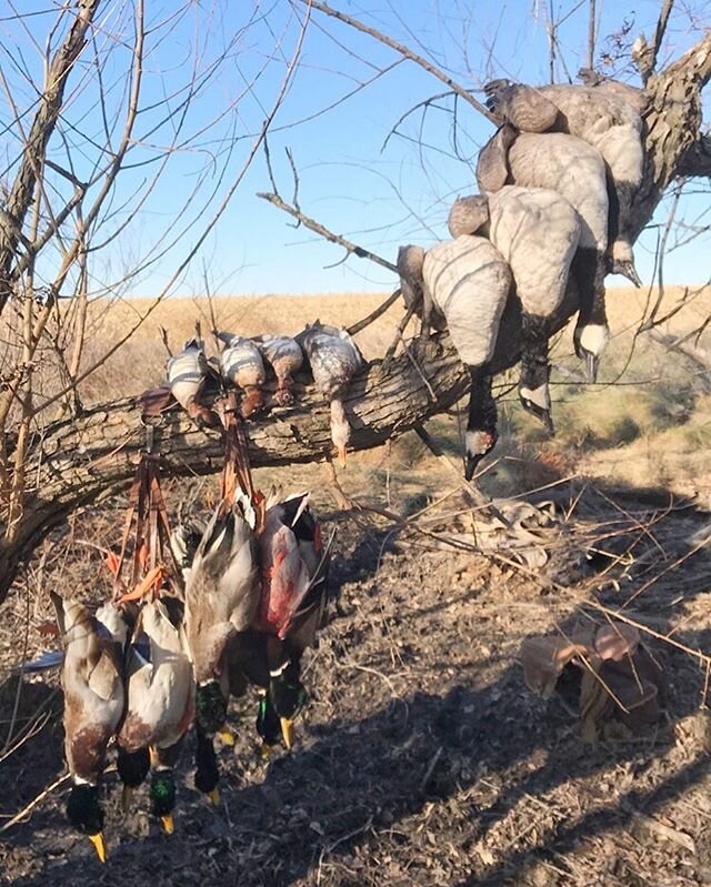 Last time we can remember the ground being dry for longer than a couple days was when we were huntin pothole ponds in November, fingers crossed for a dryer spring! #kansaswaterfowl #frontrunneroutdoors