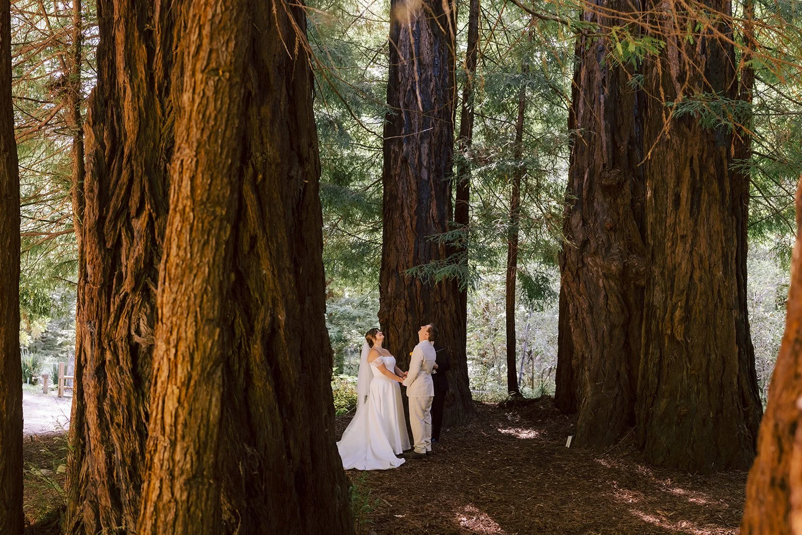 Glen Oaks Big Sur elopement with Melissa Ergo and Santa Cruz Officiant