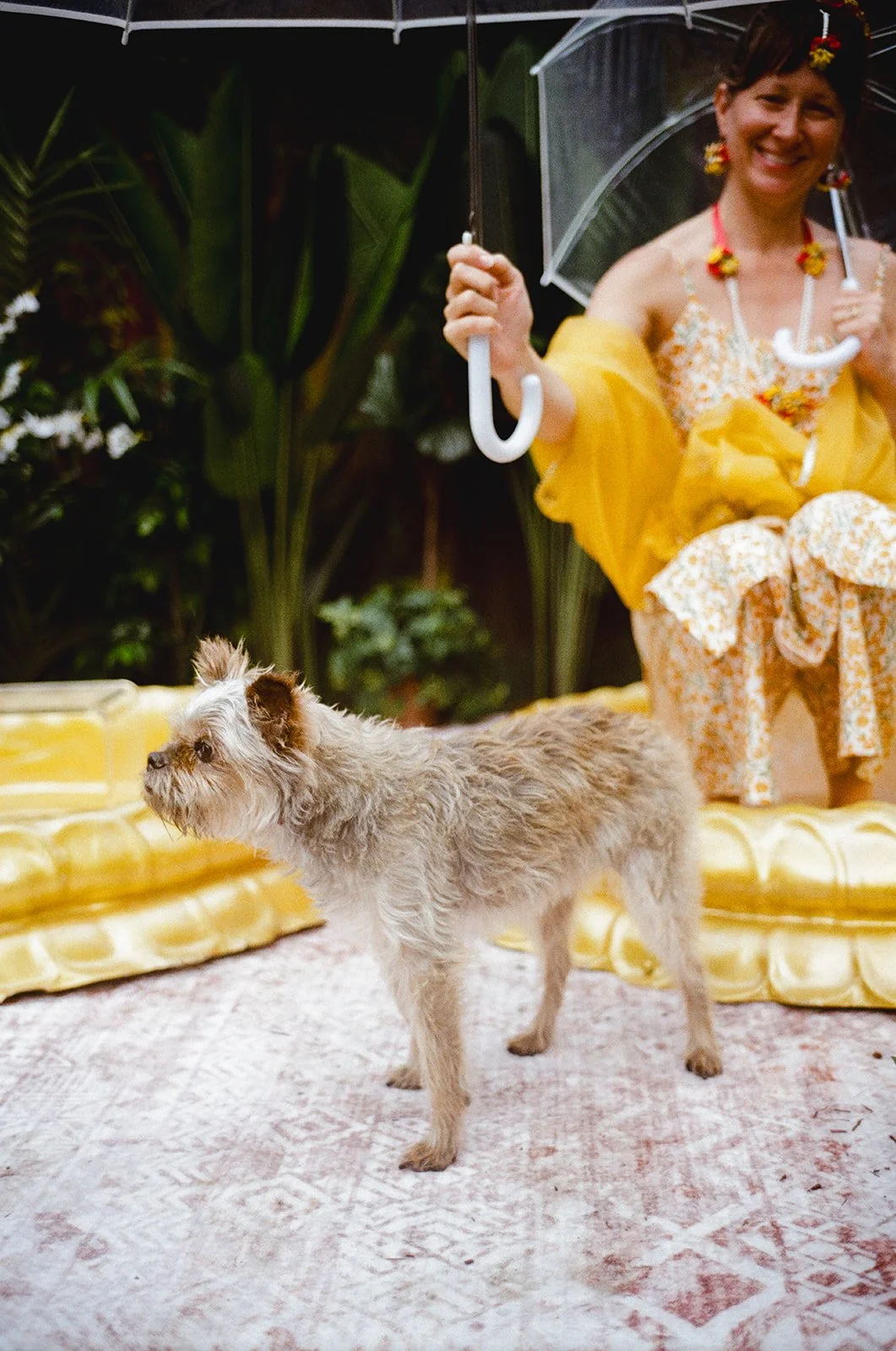 wedding ceremony among redwoods Waterfall Lodge Retreat Ben Lomond