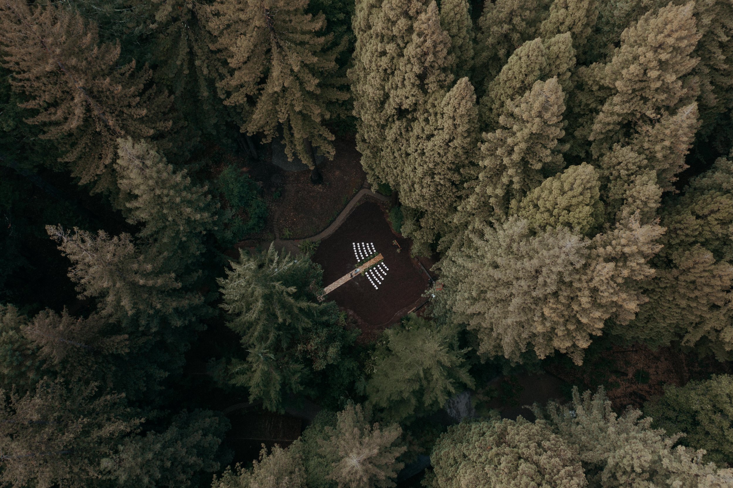 Aerial view of redwood grove waterfall lodge wedding ceremony