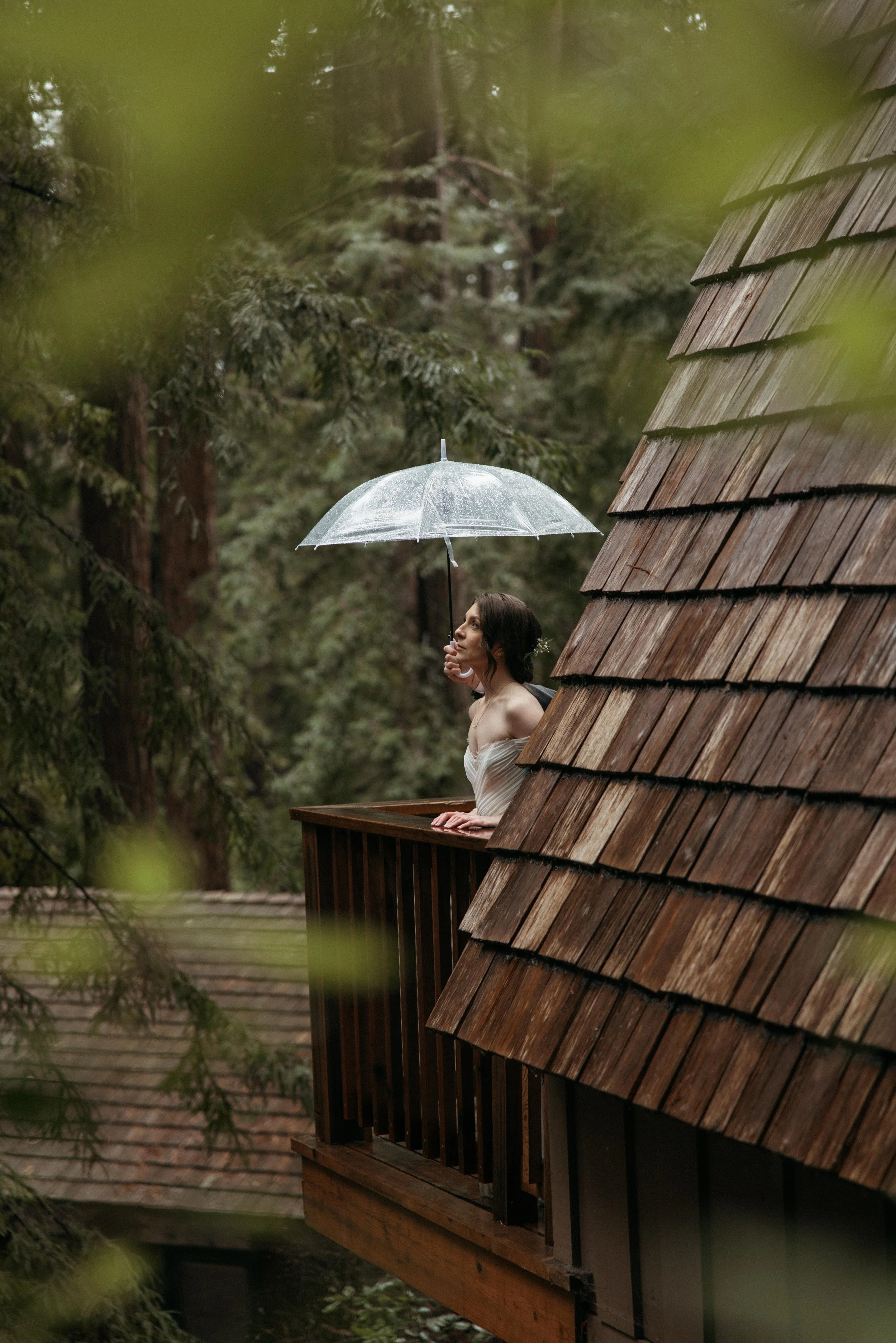 wedding ceremony in redwood forest at Waterfall Lodge & Retreat