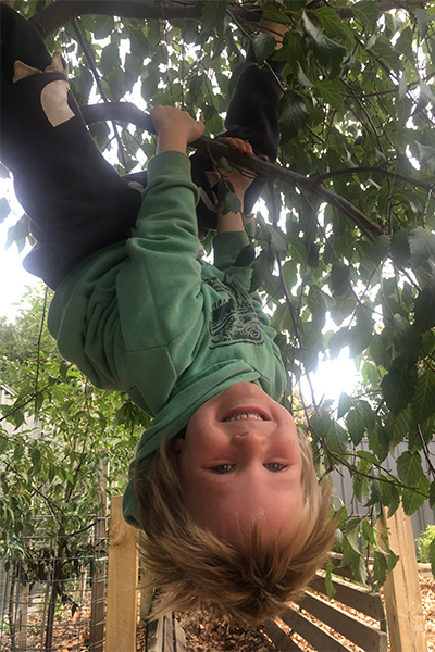 hanging-in-tree-400x600.jpg