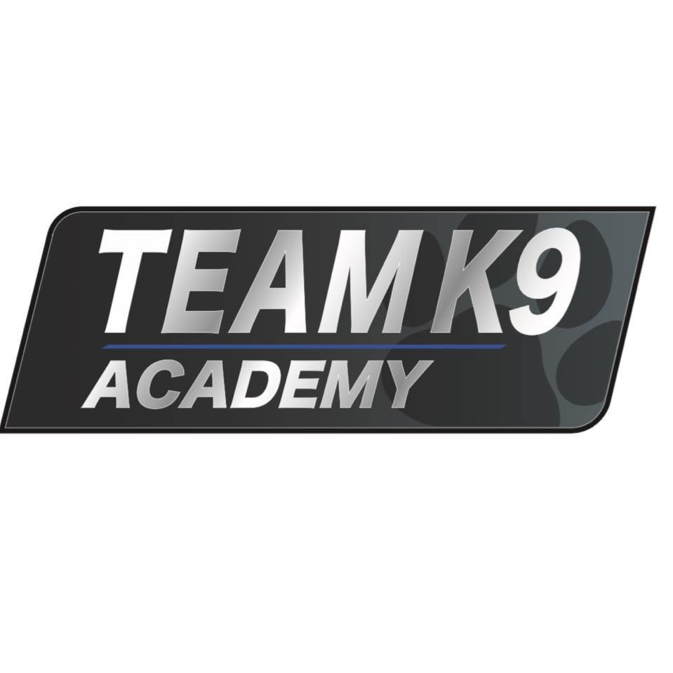 team K9 Academy 2 HOLES.jpg