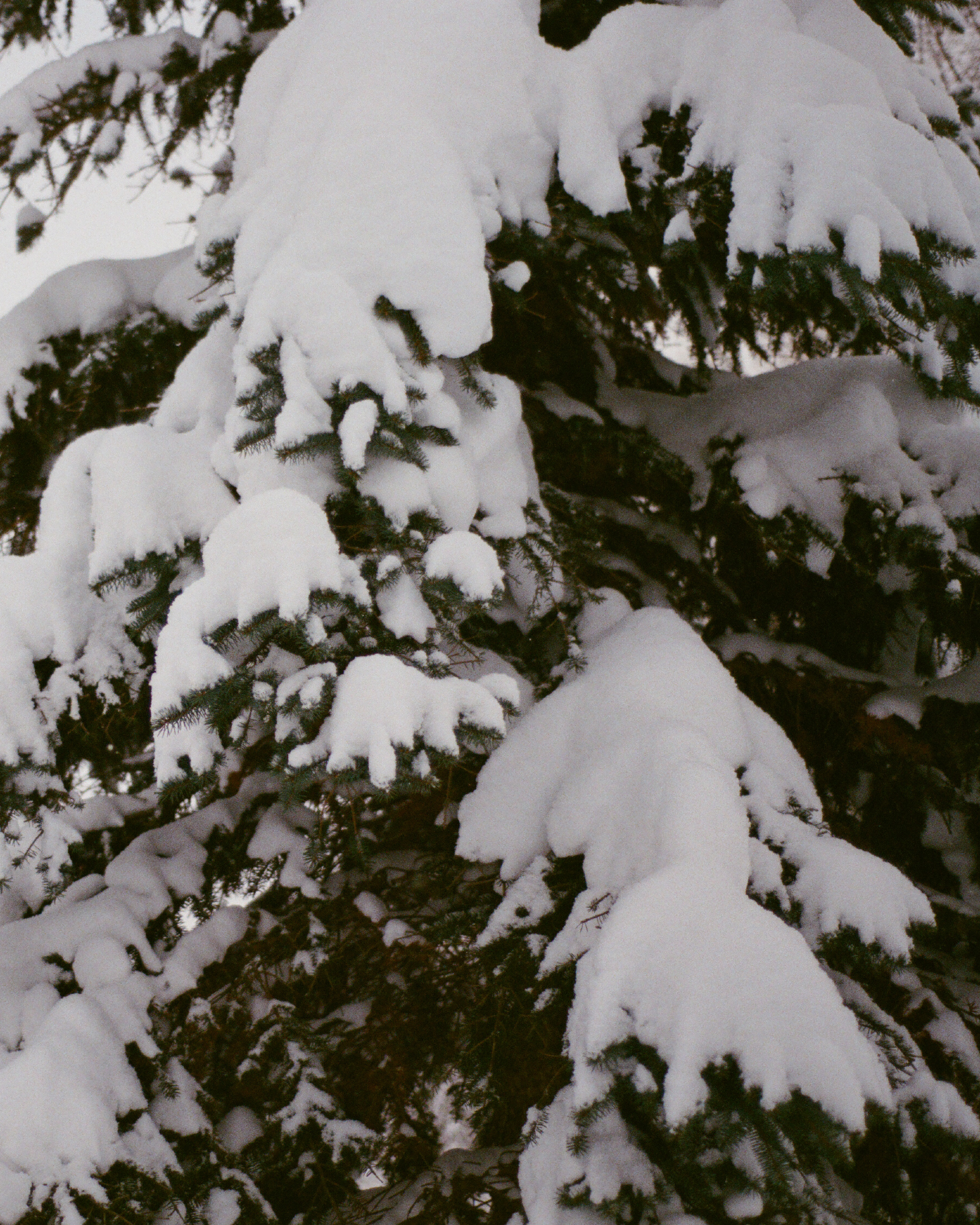 ski---8.jpg