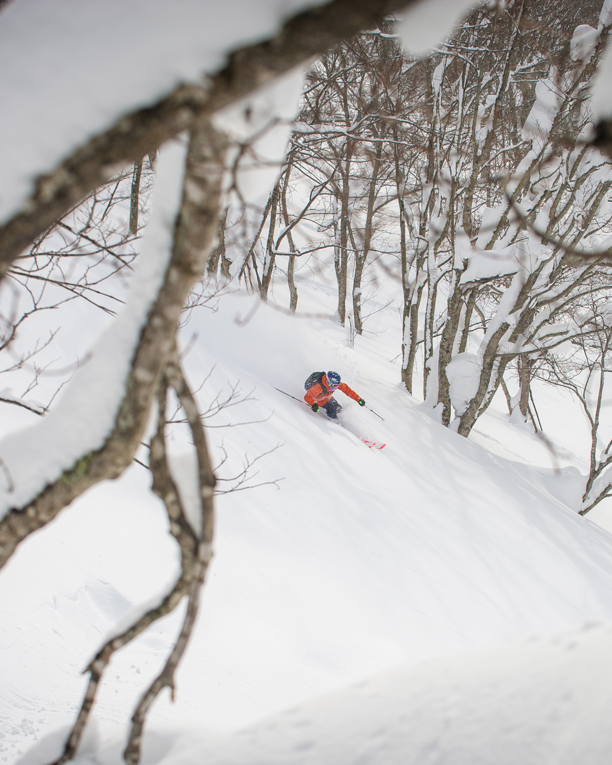 ski---1.jpg
