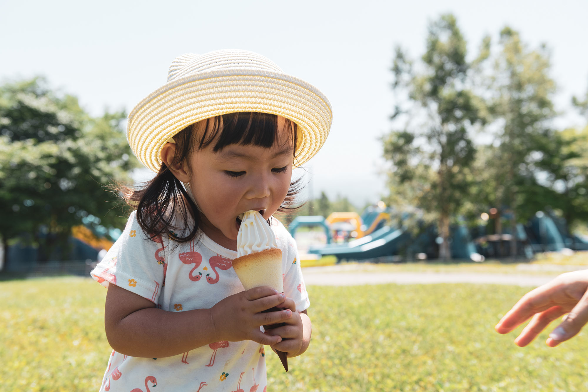 20180727_AJP_DSC_5955-2.jpg