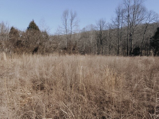 DSC04518.JPG