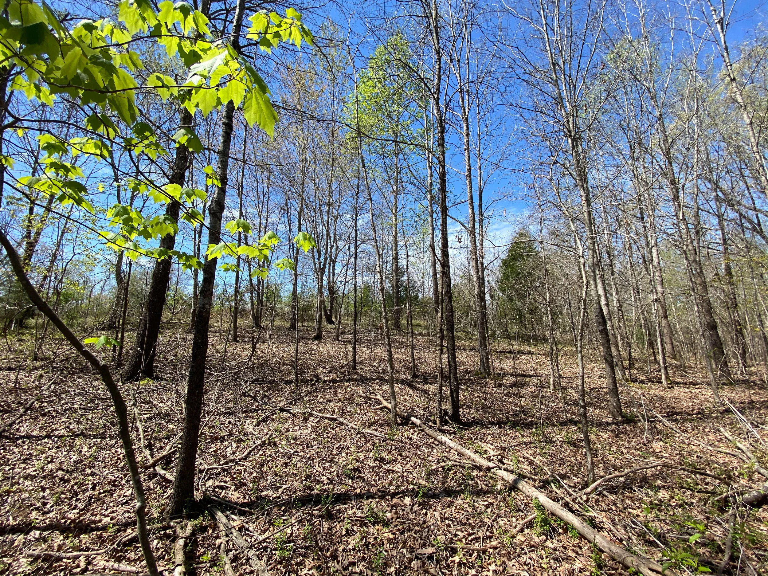 *SOLD* Ethridge Farms Tract 16 — Lot of Freedom