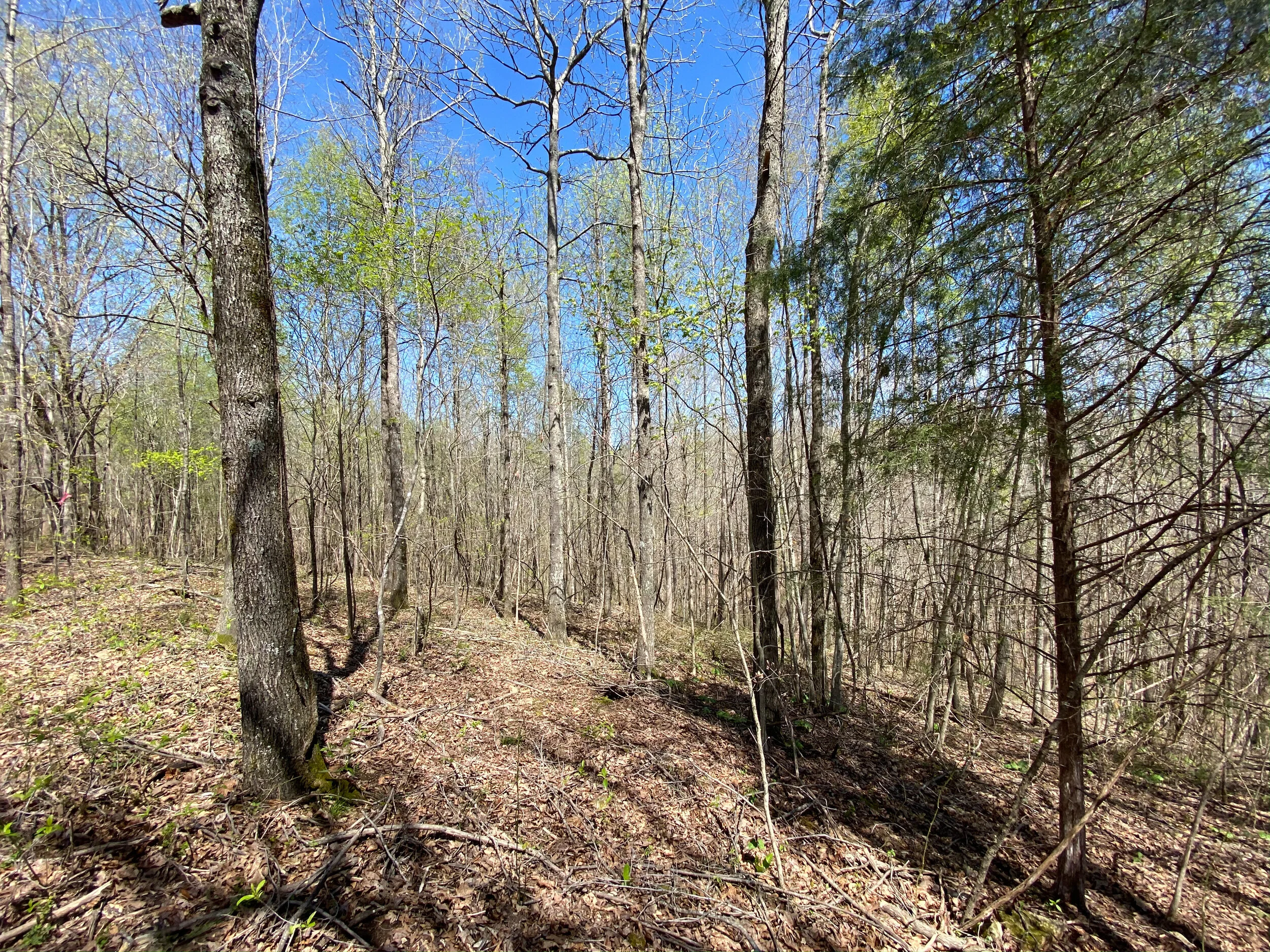 *SOLD* Ethridge Farms Tract 16 — Lot of Freedom