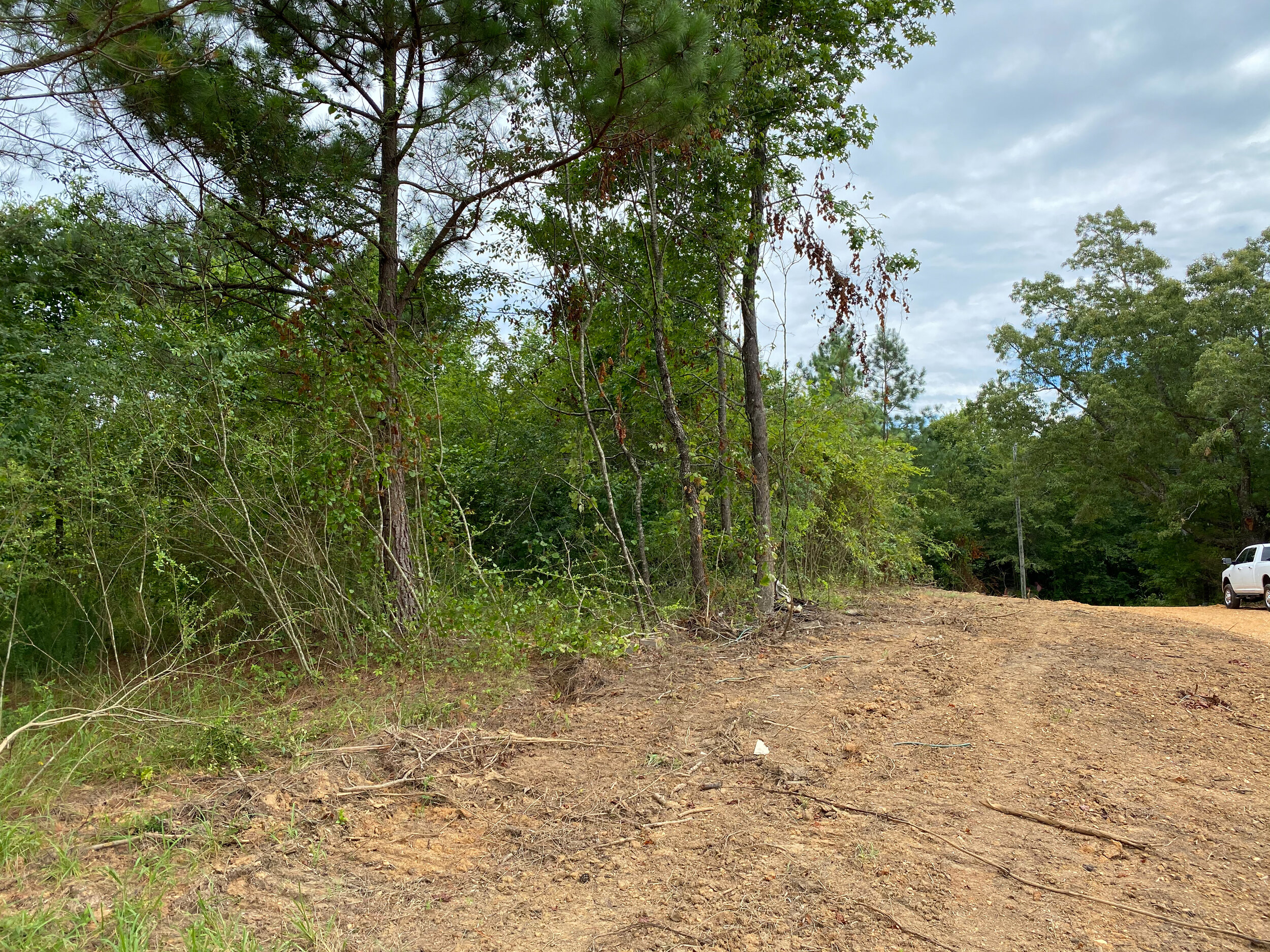 Ethridge%20Farms%20Tract%2011-29.JPG