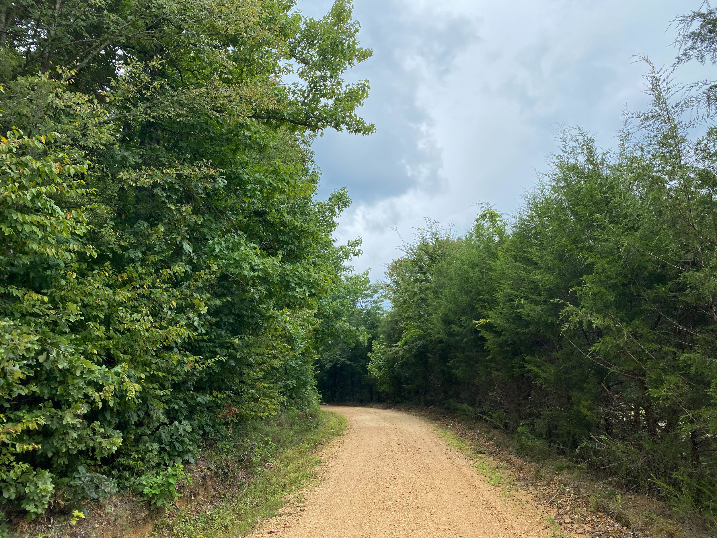 Ethridge%20Farms%20Tract%2011-41.JPG