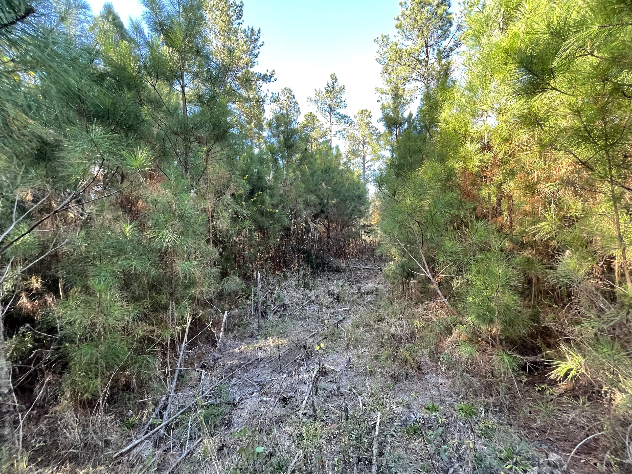 Huntingdon Tract 15 - 5.jpeg