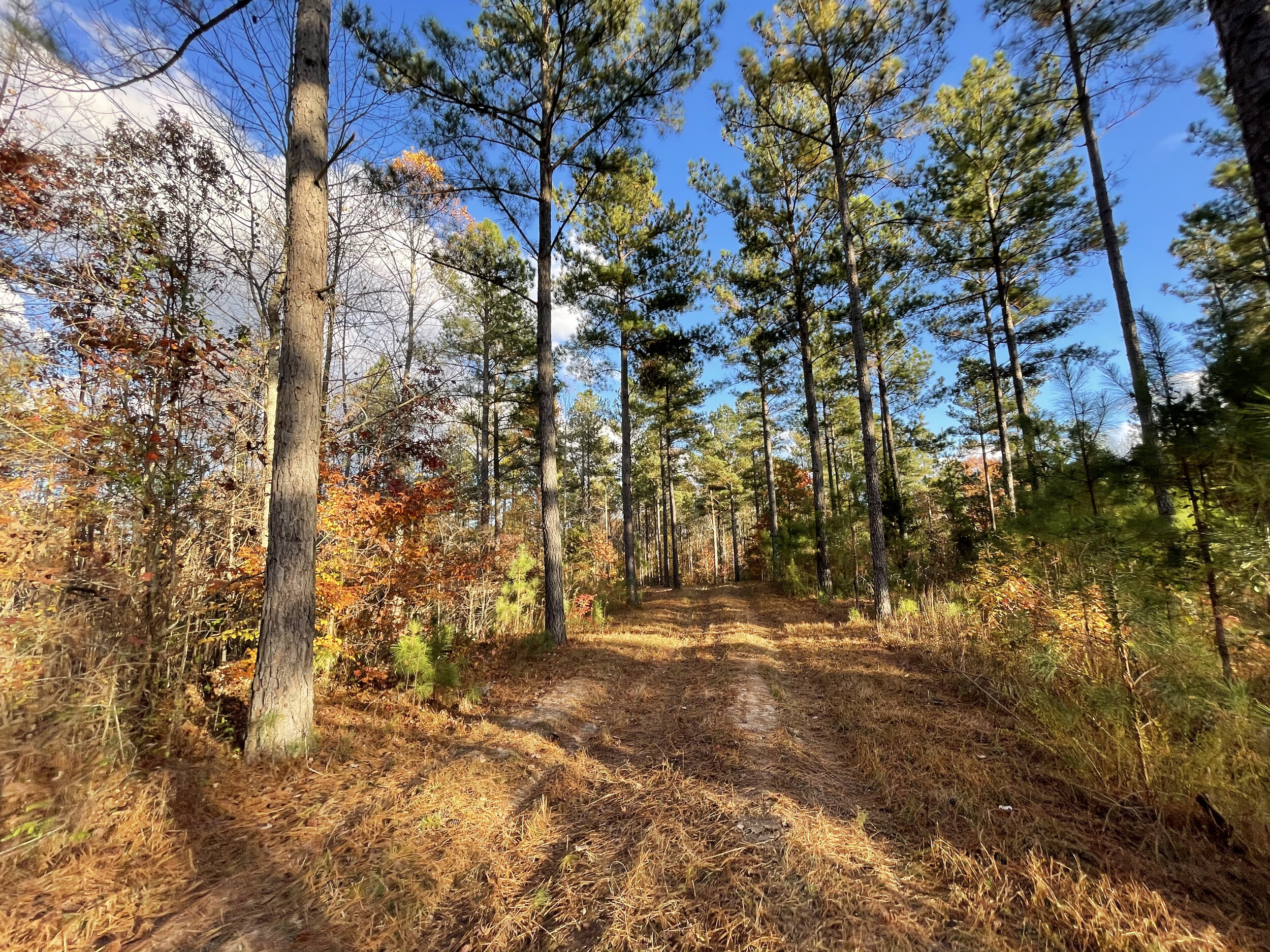 Huntingdon Tract 5 - 17.jpeg