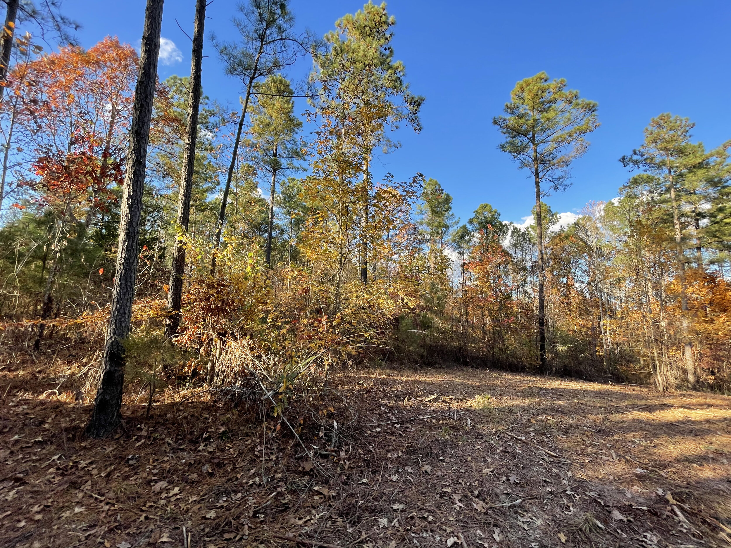 Huntingdon Tract 4 - 6.jpeg