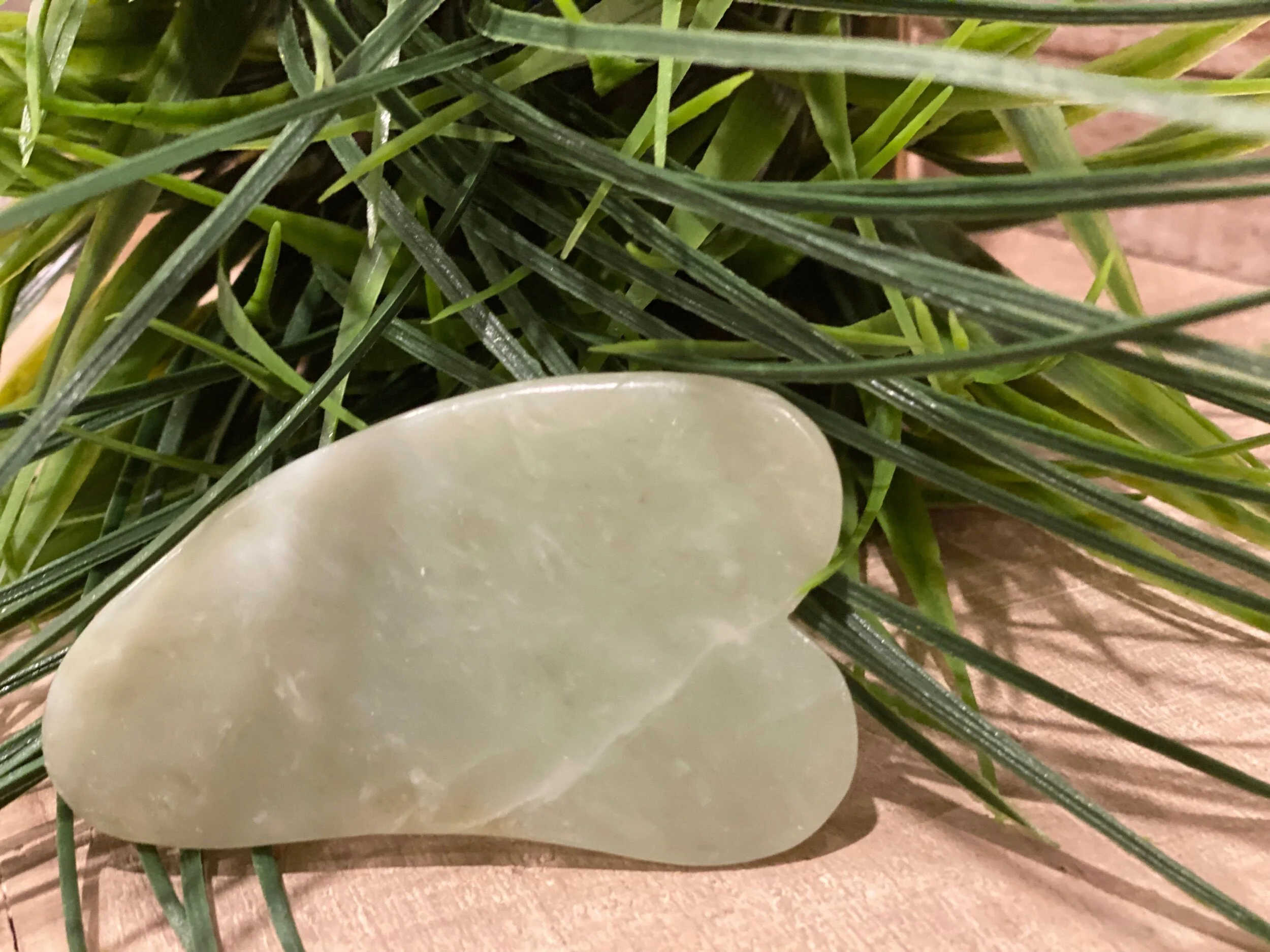 243D702F-FF37-4C13-96A0-1A8B3CA465A2