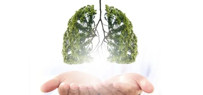 Clear mucus from lungs