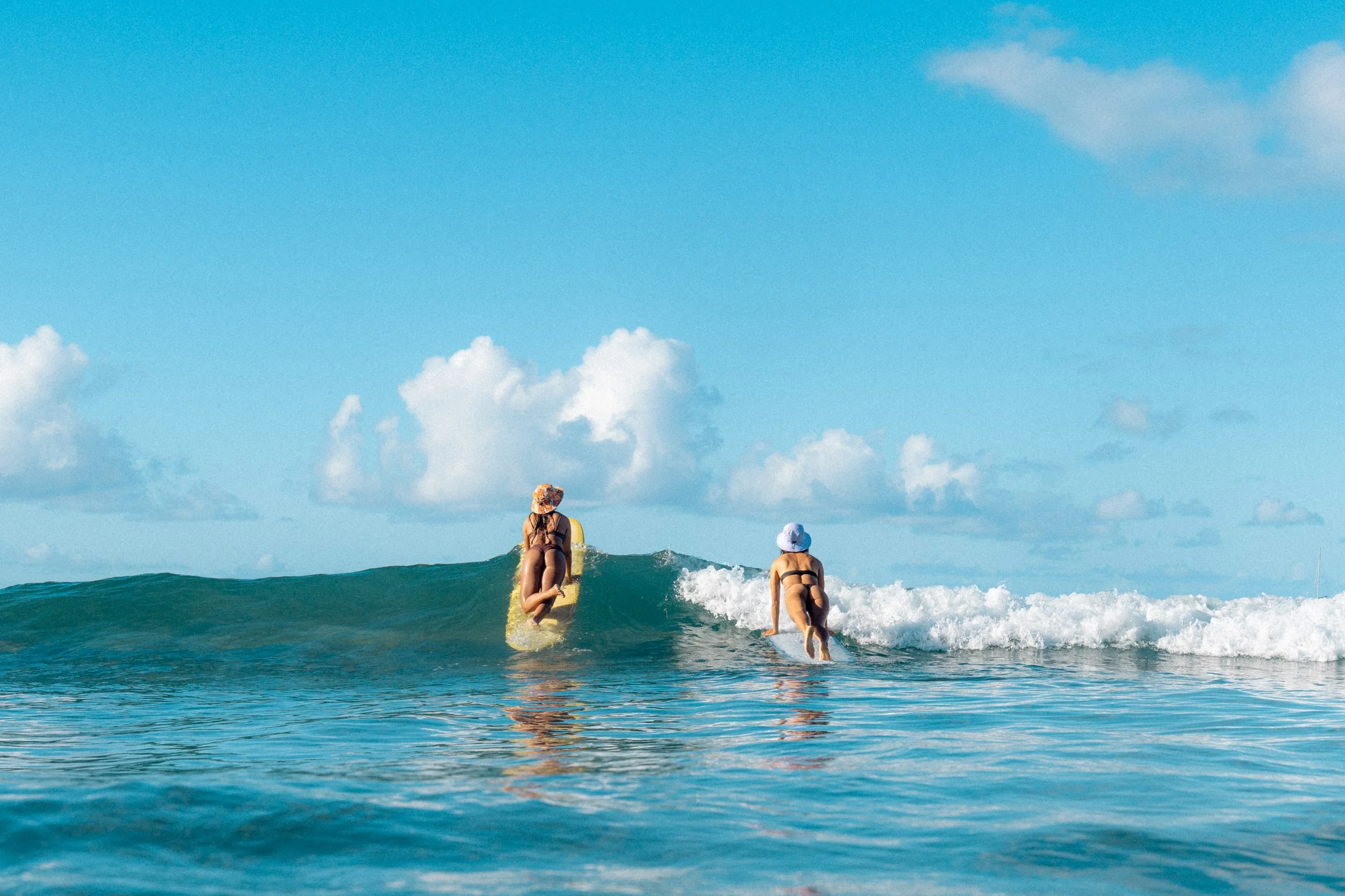 sunward bound x @mattaleong-28.JPG