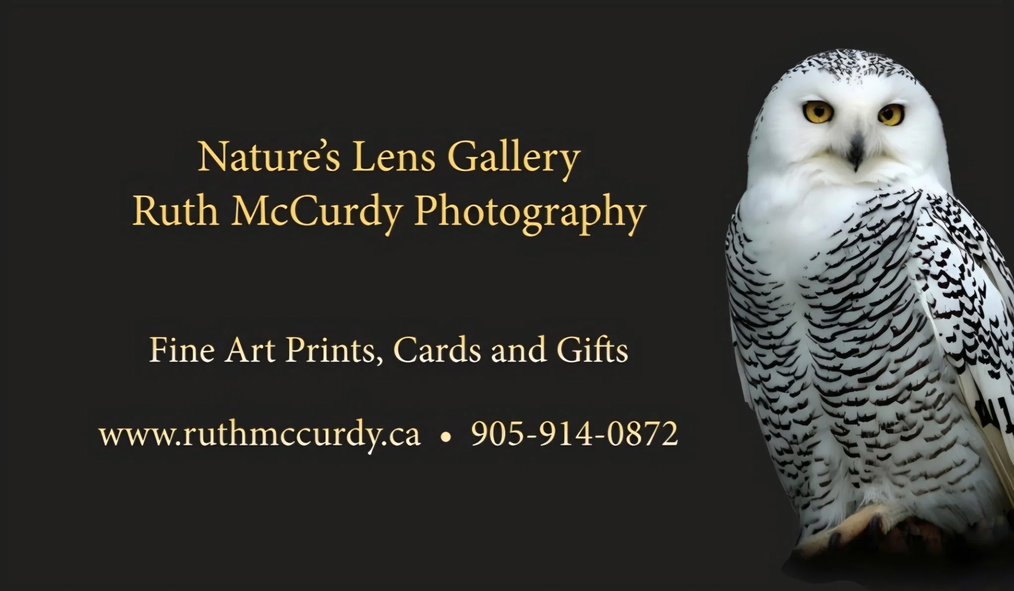 McCurdy 2026 Side 1 1000021621.JPG