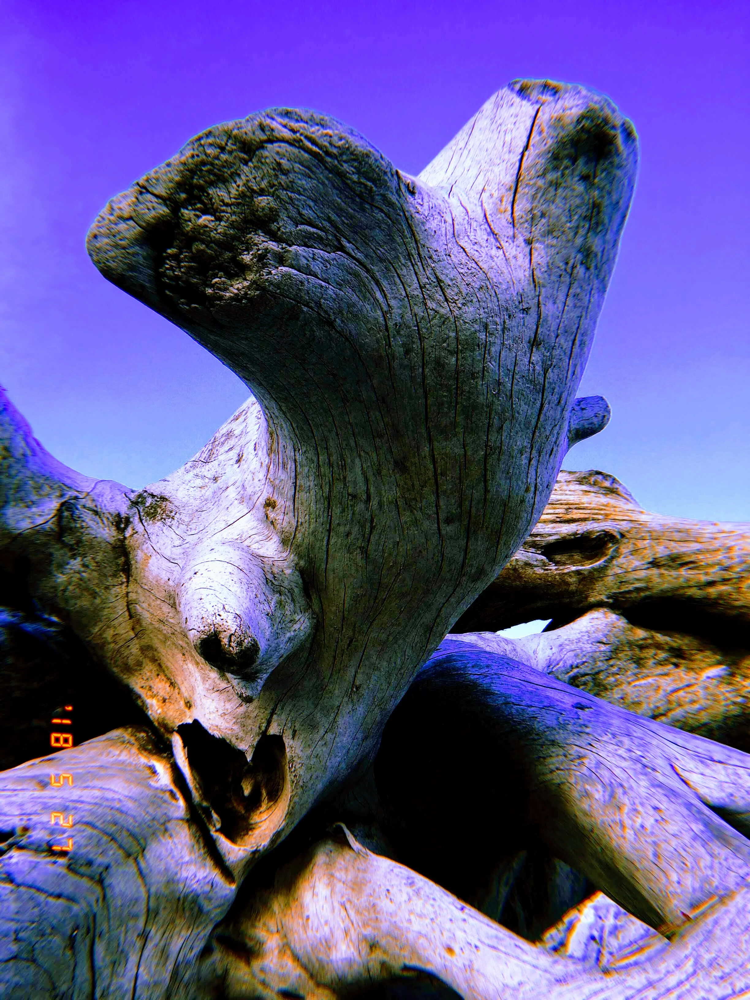 2018-05-27 19:53:57.484-EFFECTS.jpg