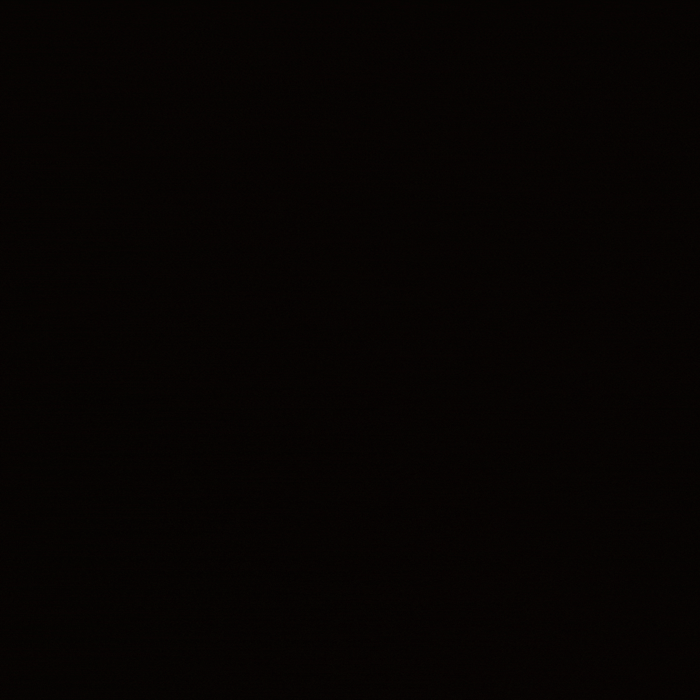 VISUALDARREL logo 2024.gif