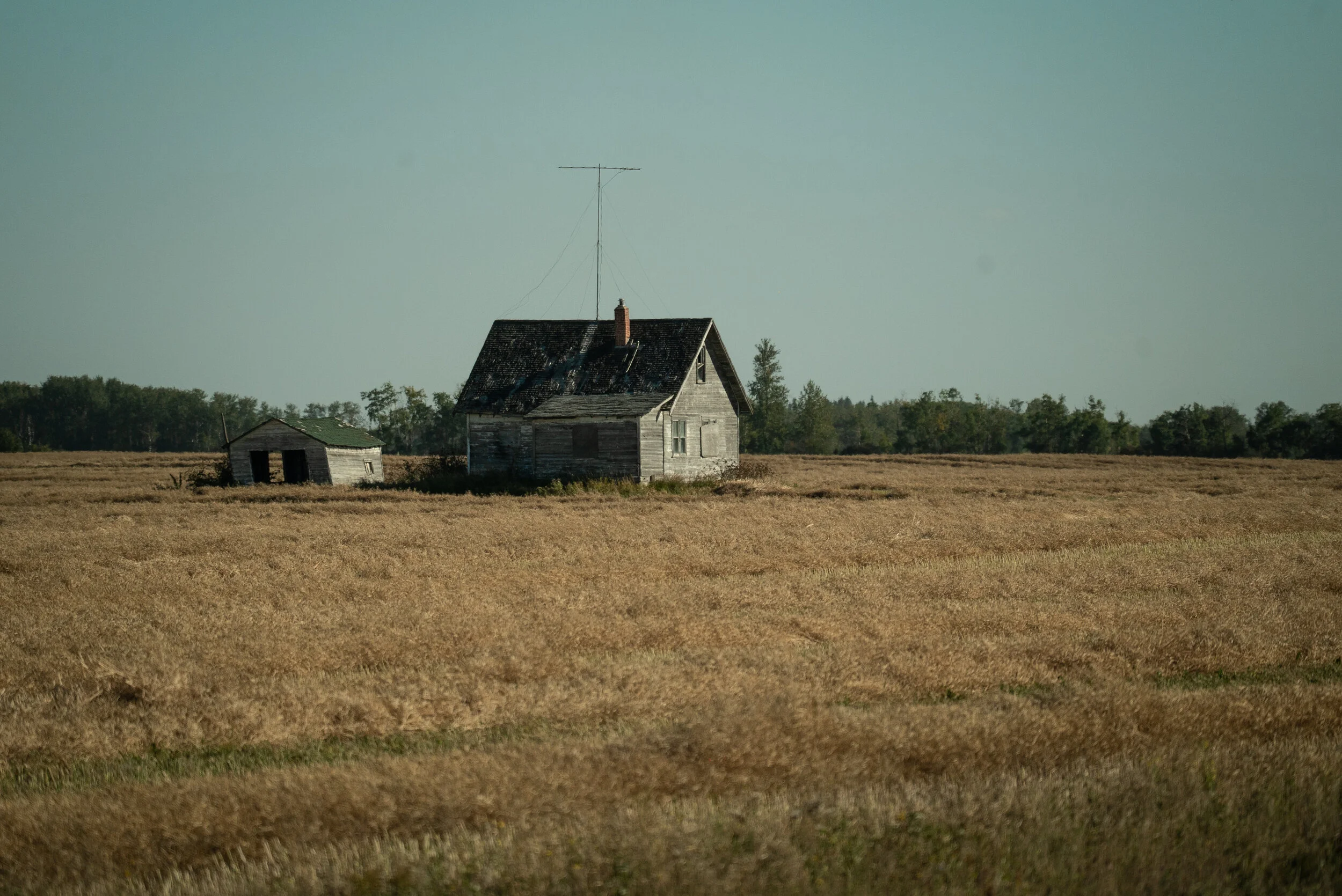 DSC09961.png.jpg