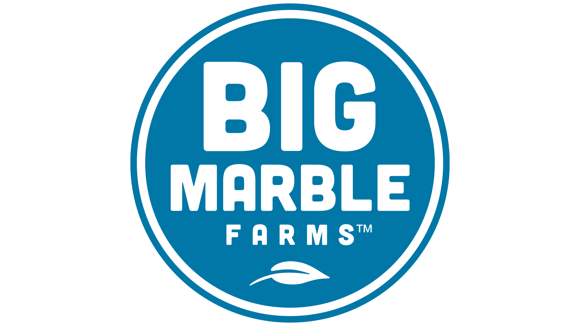 Big Marble Logo.png