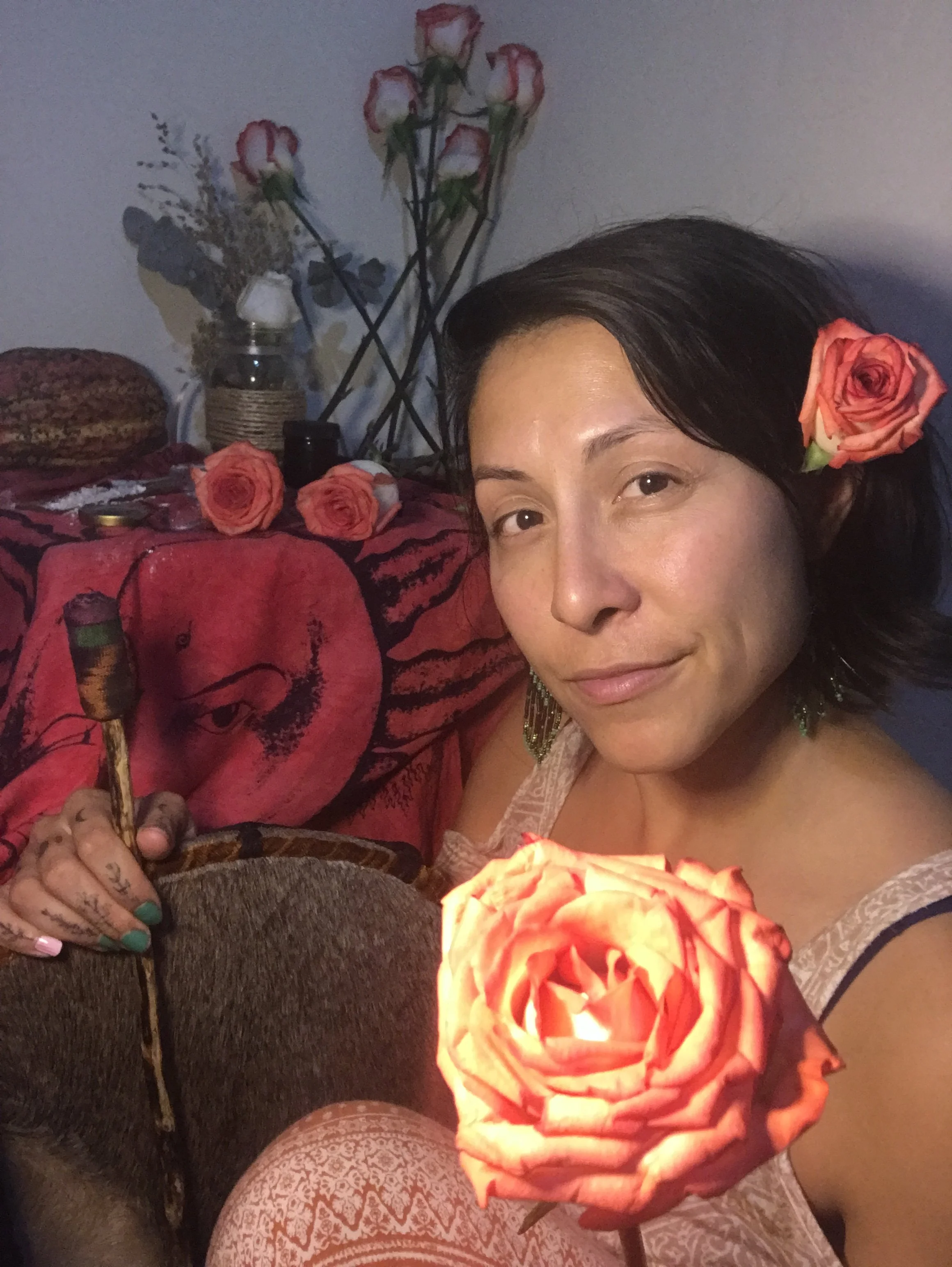 pinkrose.JPG