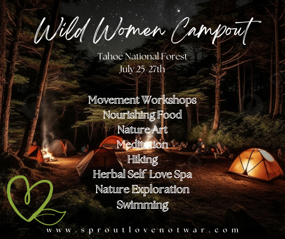 Within Winter Retreat