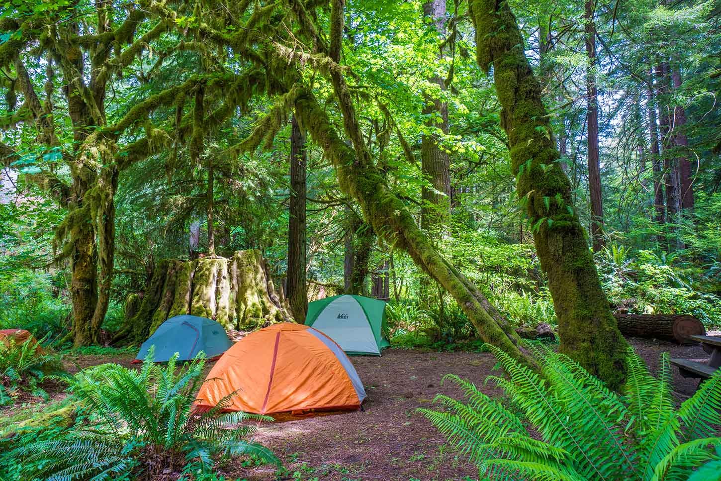 campout.jpg