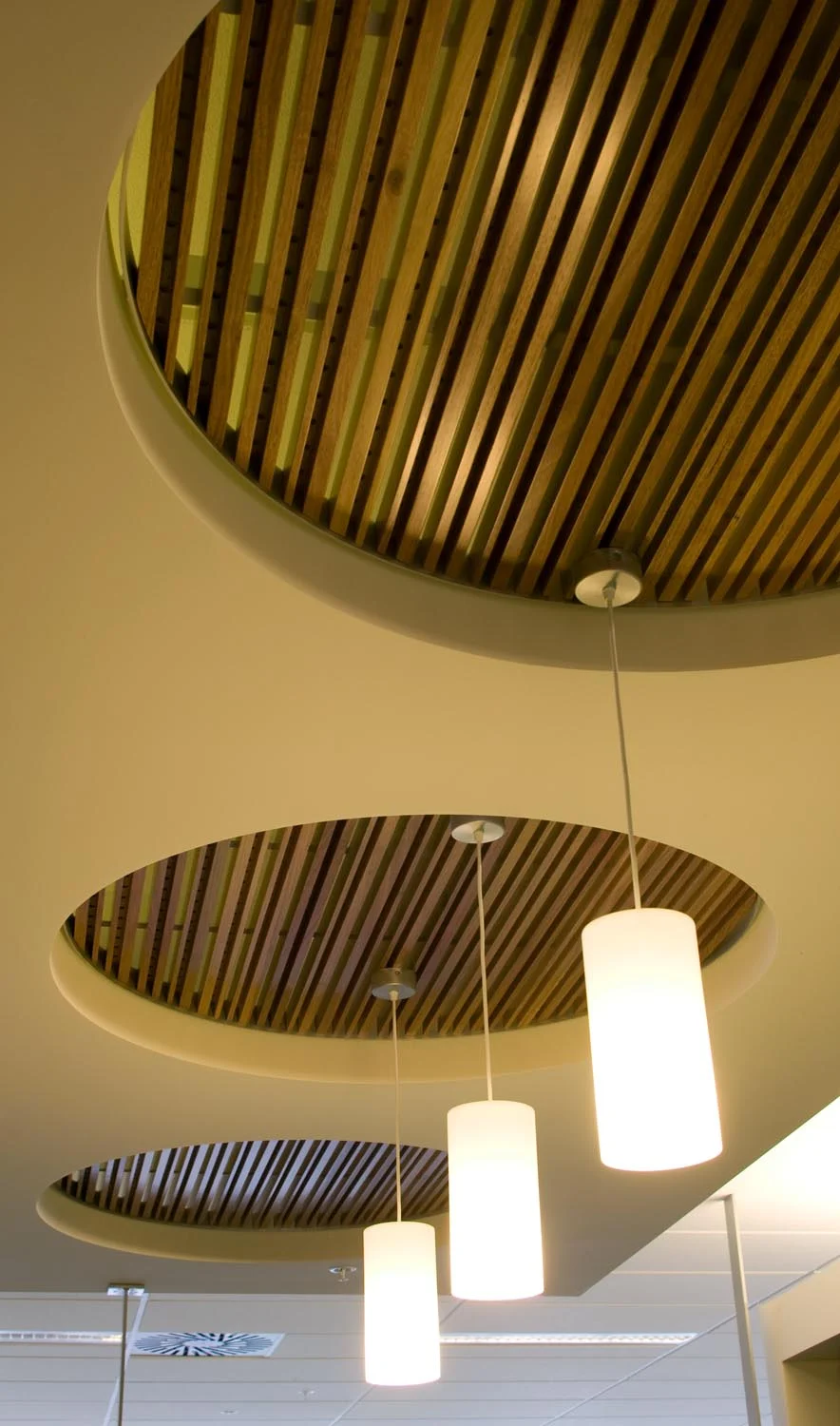 wood inside circles.jpg