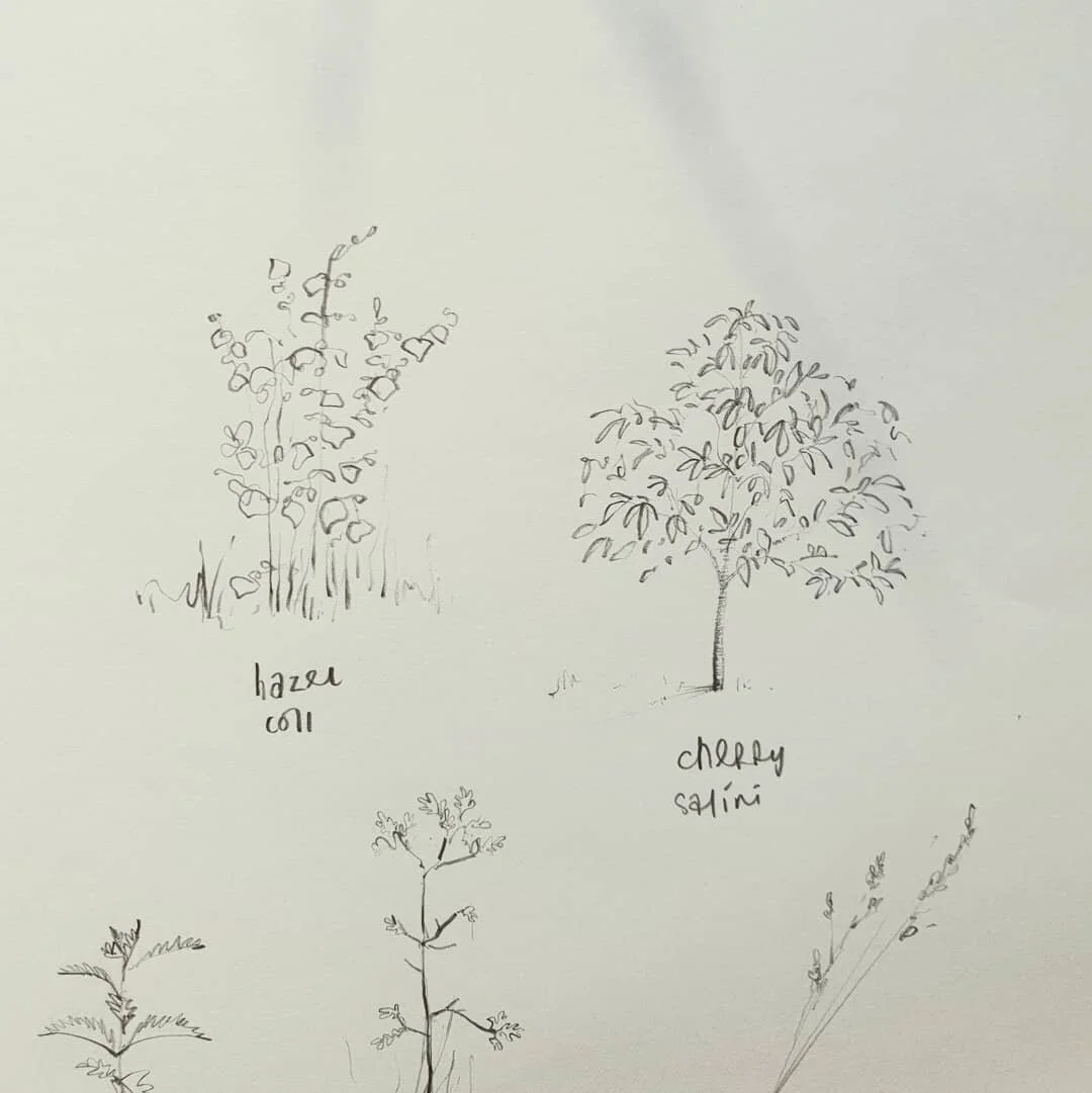 #quicksketches #youngforest #doodleoftheday