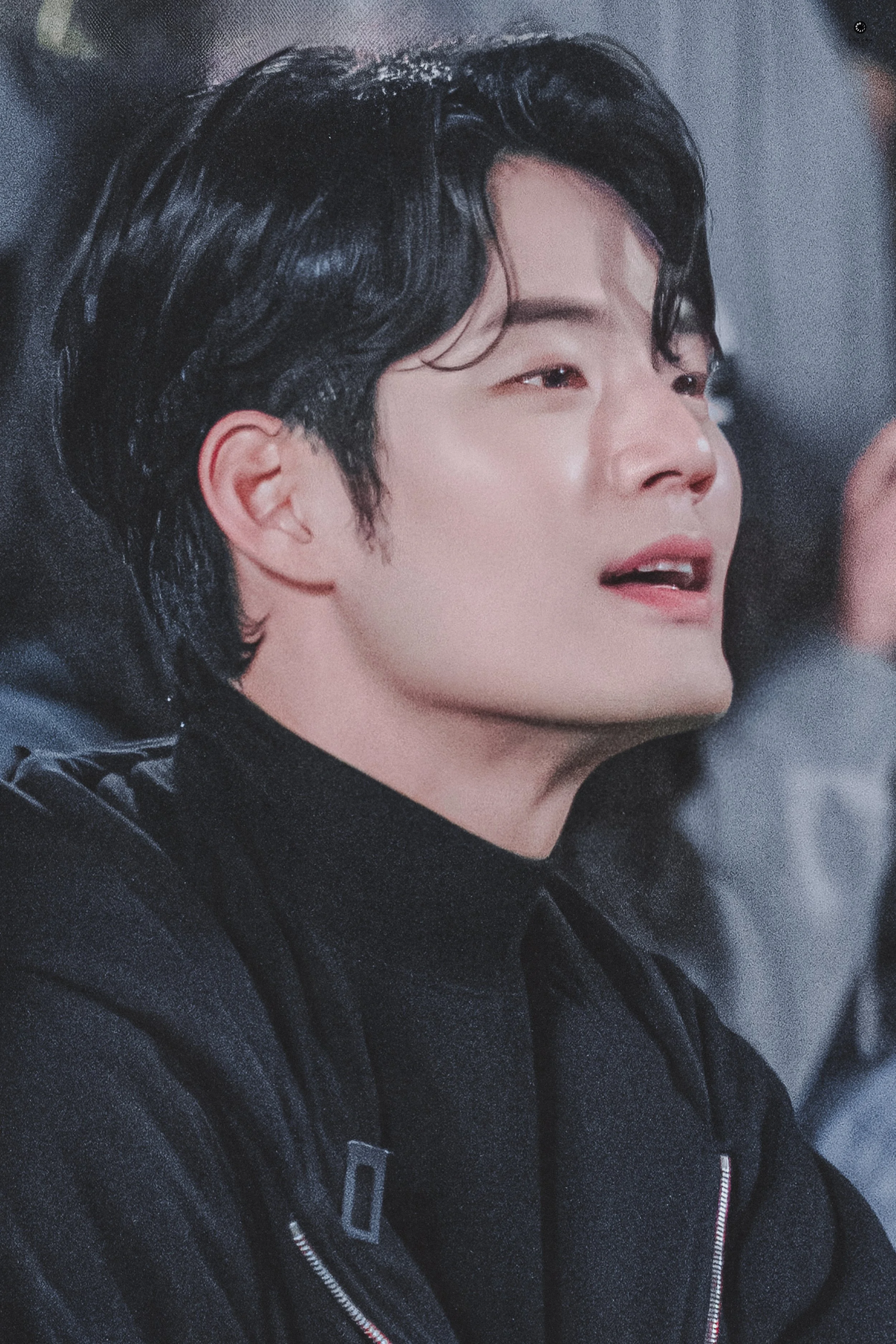 마로니에_10.jpg