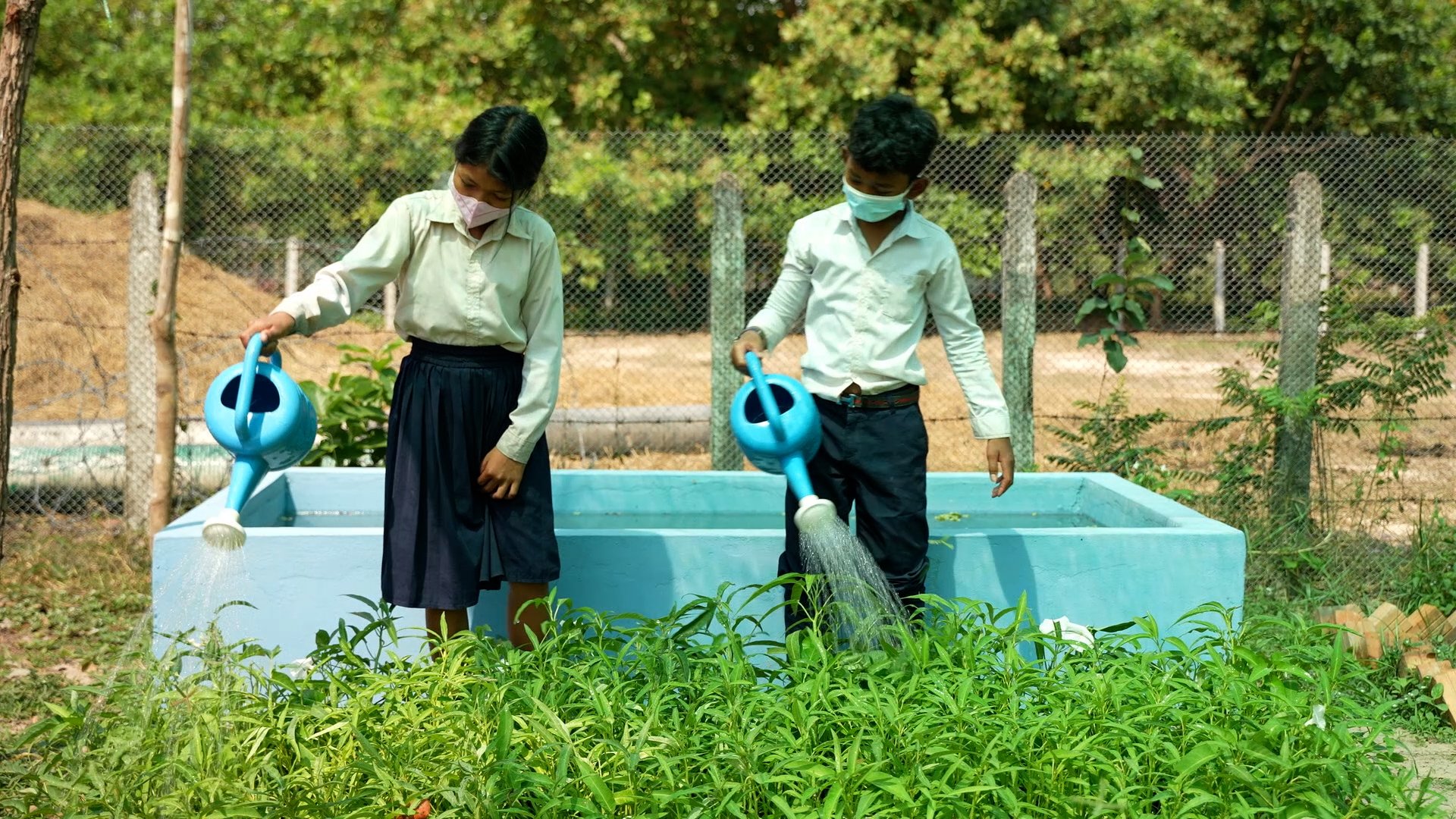 School children water their garden