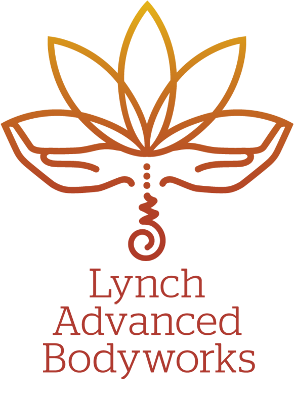 lynch advanced bodyworks