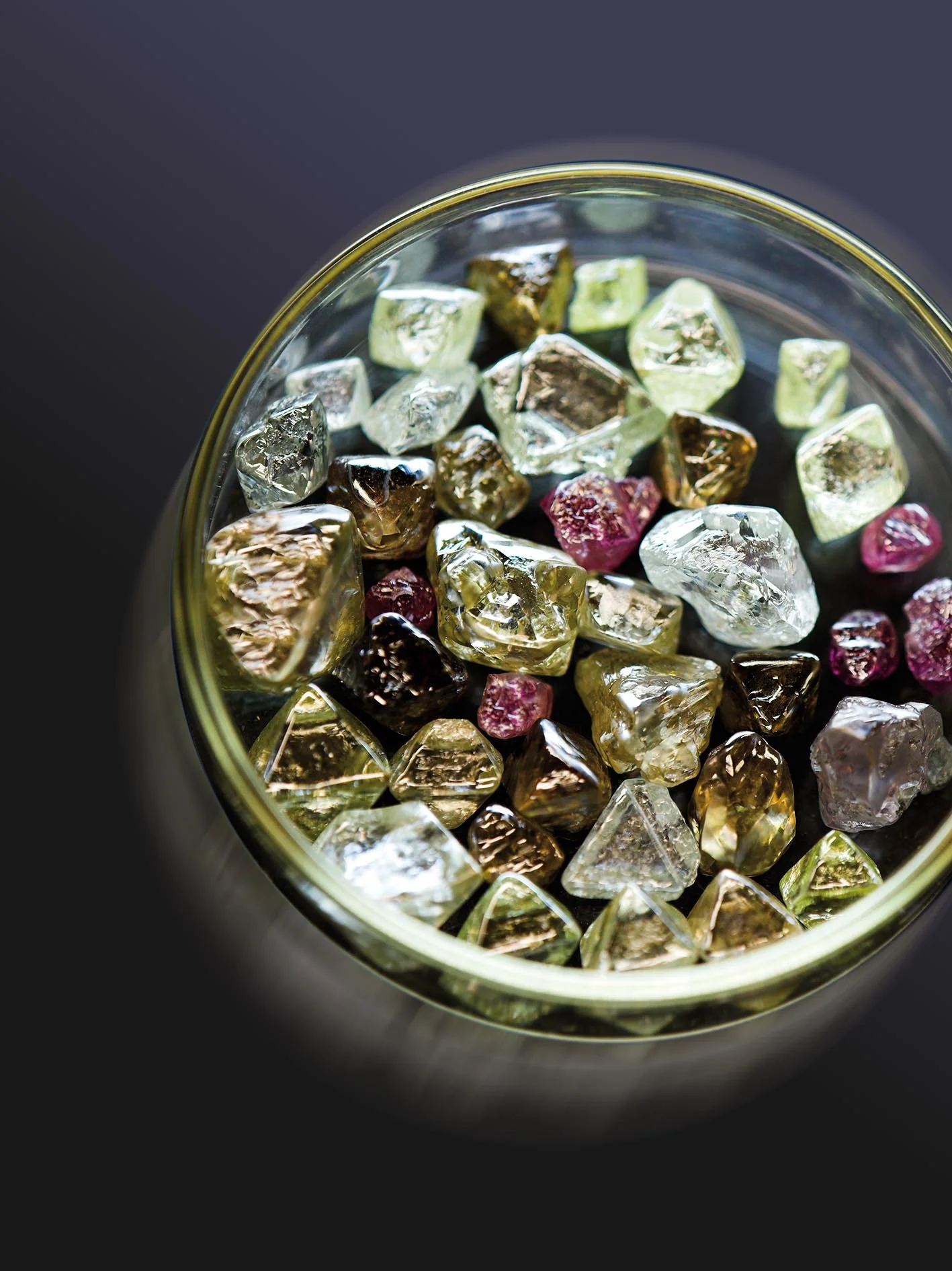 Photo courtesy of the Diamonds Producers Association.