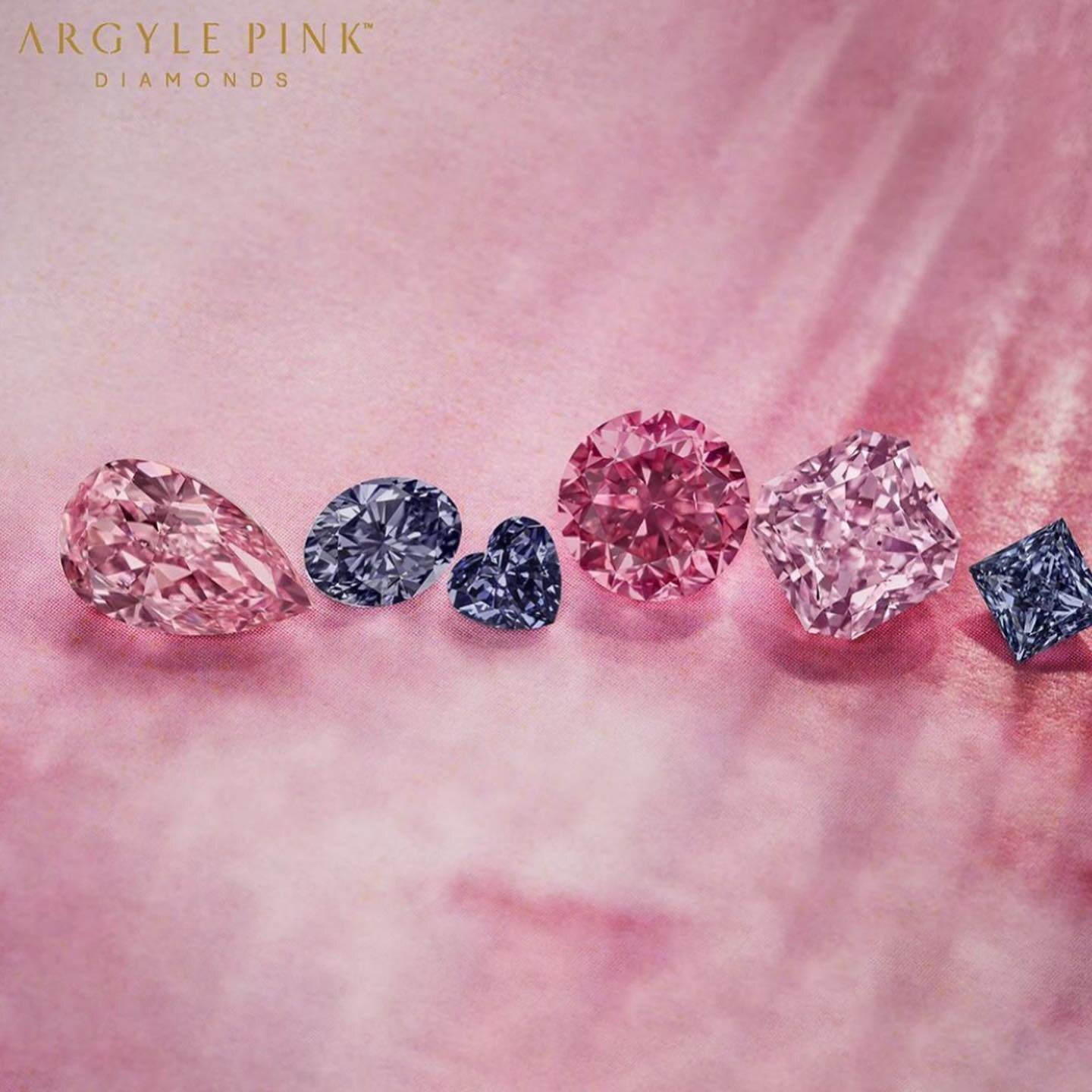 #Repost @glajz  @argylepinkdiamonds_official Unveiling the Argyle 2020 tender
・・・
Headlining the #2020apdtender is Argyle Eternity&trade;, a 2.24ct Fancy Vivid Purplish Pink round diamond, the largest Fancy Vivid round brilliant diamond ever offered 
