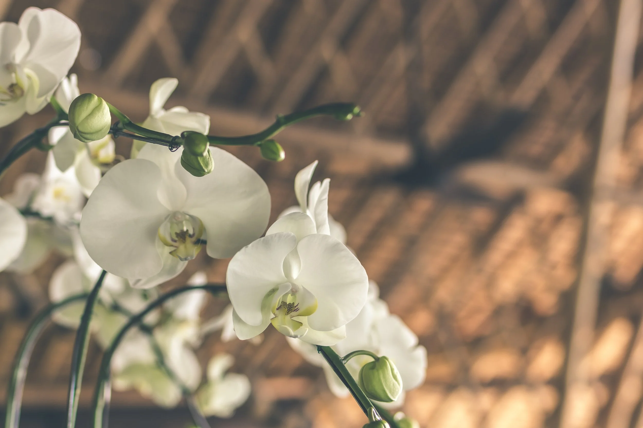 artem-bali-588849-unsplash.jpg