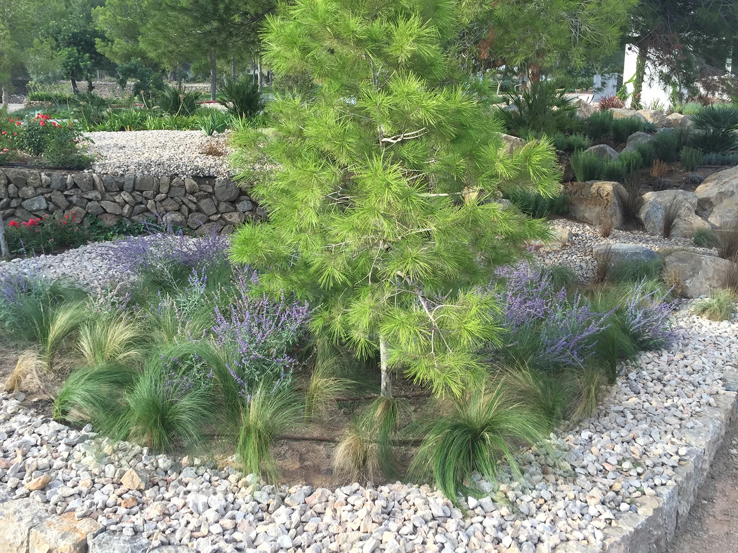 2015-09-24 18.09.15.jpg